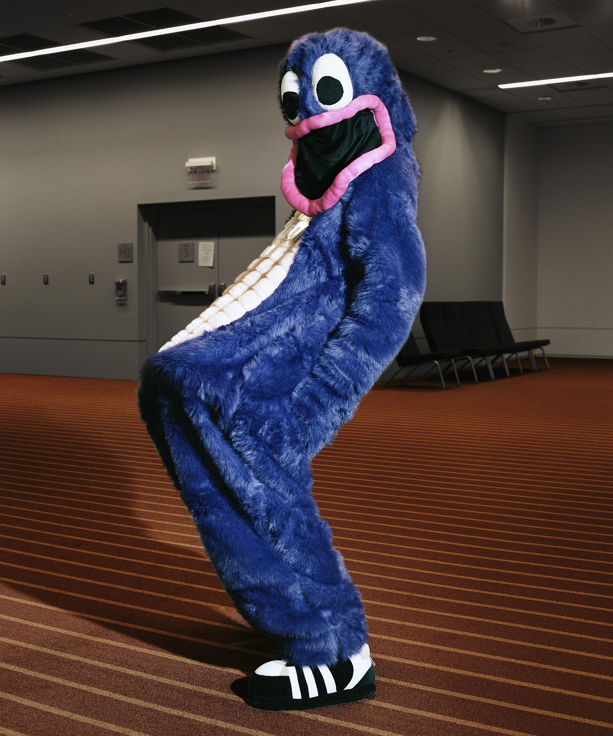 FurryJuno.jpg