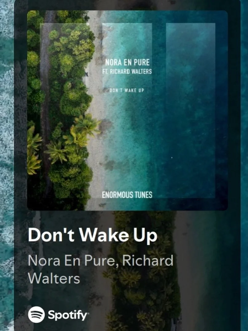 New single from DJ Nora En Pure with Richard Walters  on all streaming platforms now