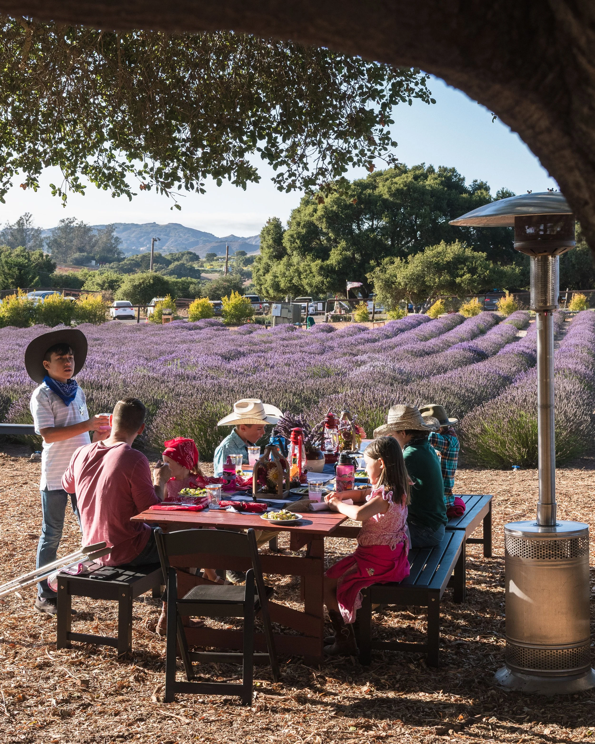Family at Farm To Table Dinner at Santa Rita Hills Lavender Farm, located minutes away from the Buellton and Solvang area