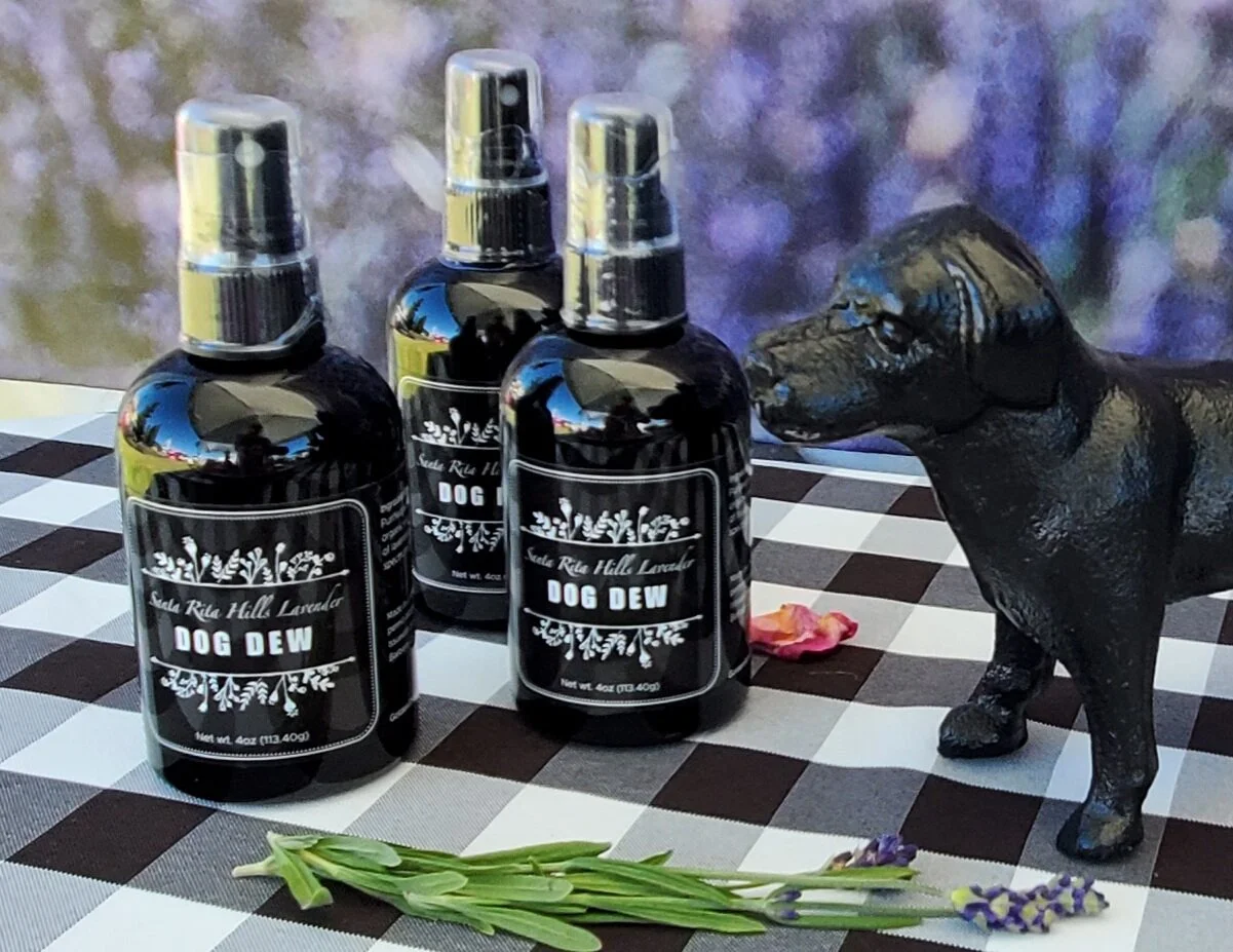 Medicated Lavender Mist for pets on checkered table next to a dog statue at Santa Rita Hills Lavender Farm