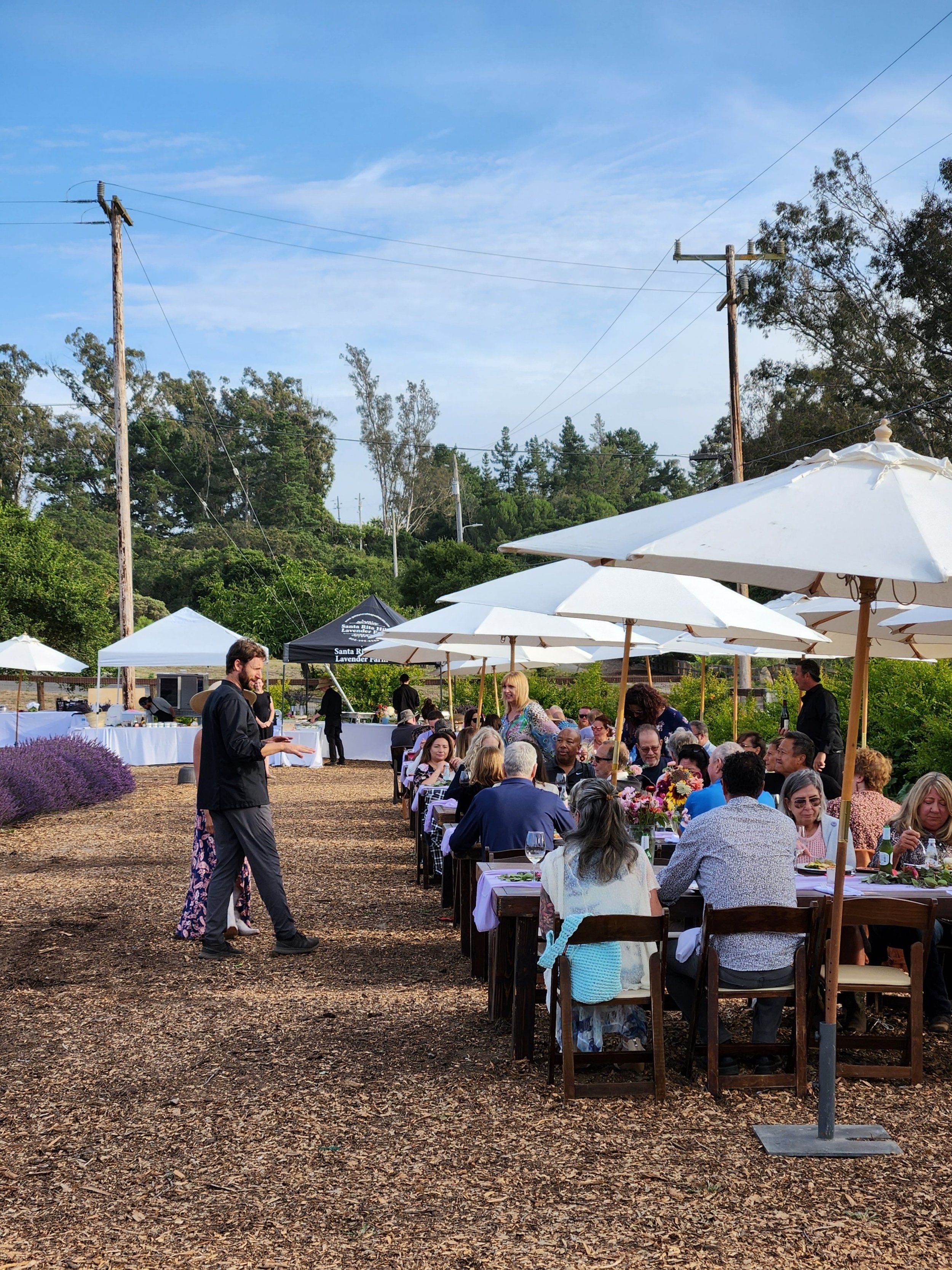 Farm To Table Dinner July 22nd