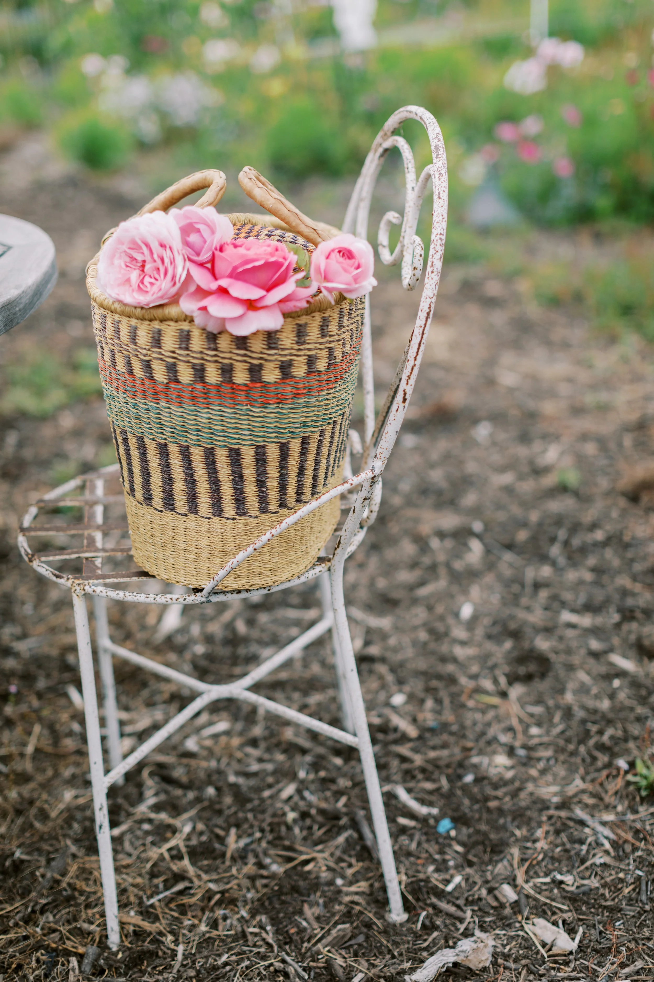 Roses On Chair.jpg