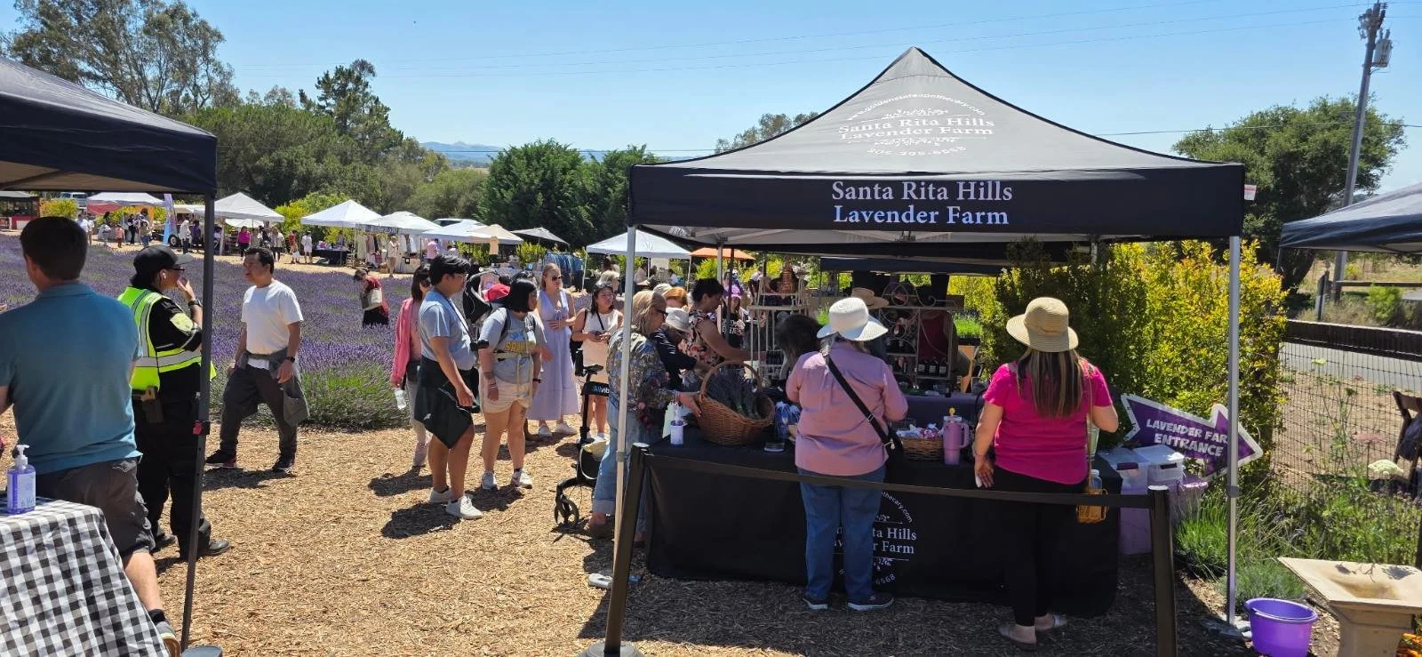 2025 Santa Rita Hills Lavender Festival, located minutes away from the Buellton and Solvang area