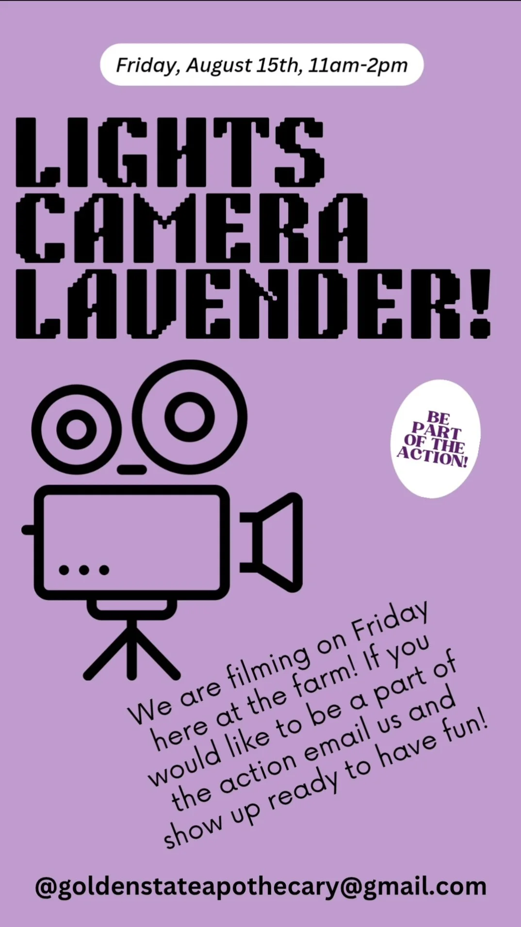 Filming at Santa Rita Hills Lavender Farm