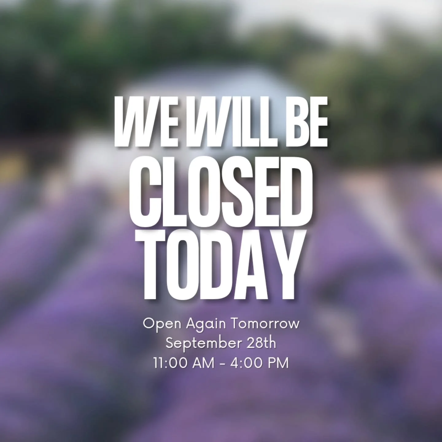 The Farmstand will be CLOSED on Saturday, 9-27-25. We apologize for any inconvenience this might create for you. We will be open on Sunday, 9-28-25, 11am-4pm.