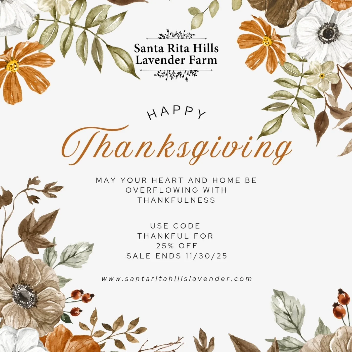 This season, our hearts are full 💜
We&rsquo;re thankful for:
🌿 Every visitor who walked our lavender fields
💜 Every customer who supported our small farm
👩&zwj;🌾 Every smiling face at our workshops &amp; festival
🌸 Every kind word, message, and