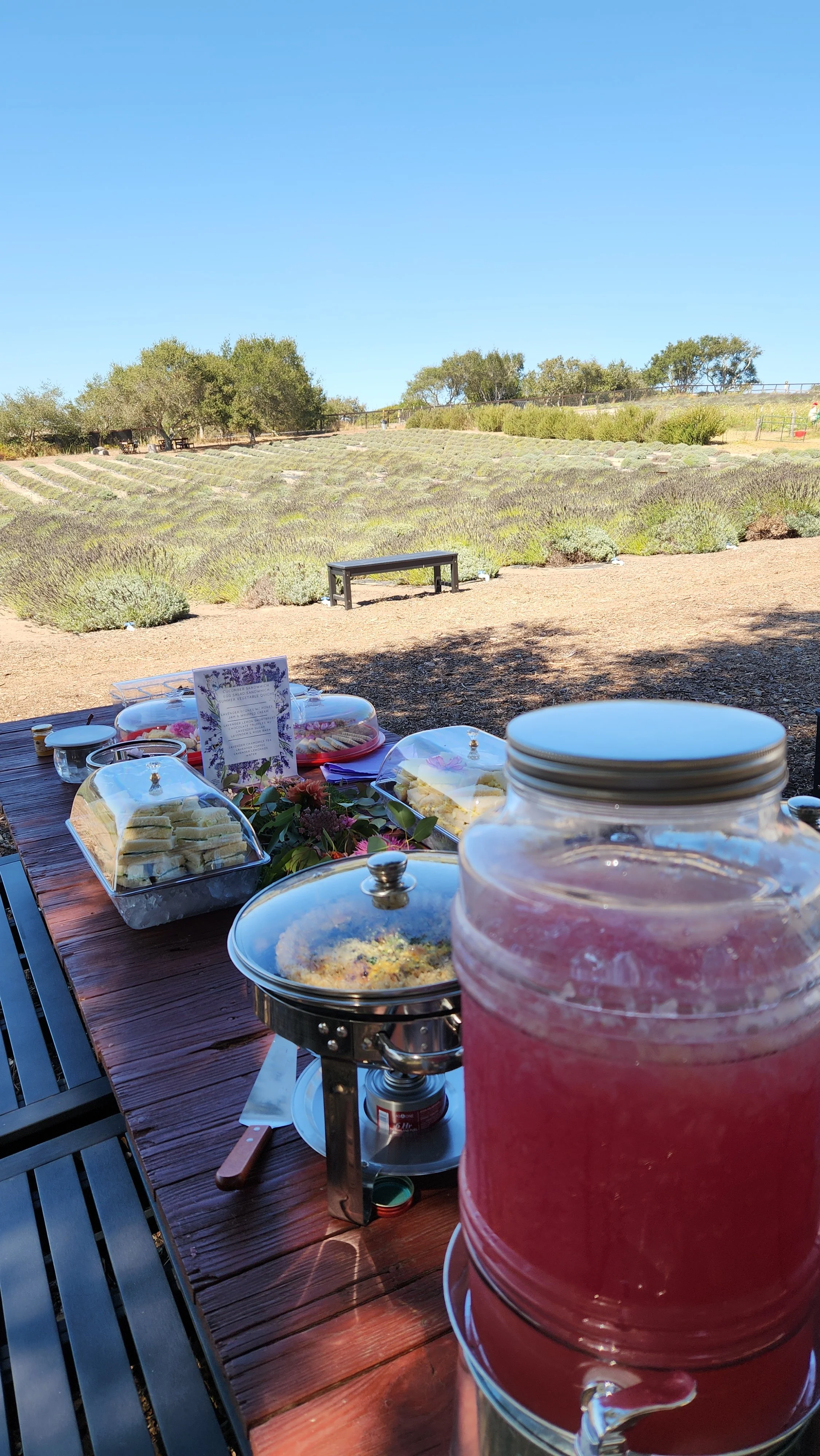 20260815_153700.jpg
