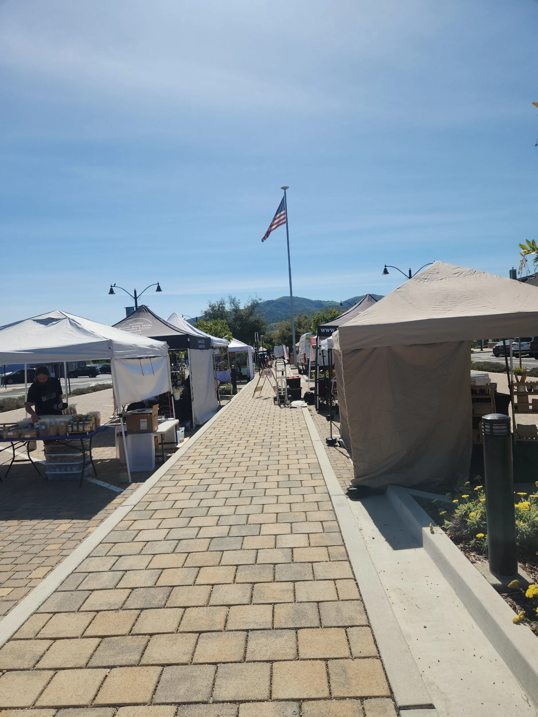 A look at all the different booths at the Buellton Farmer's Market