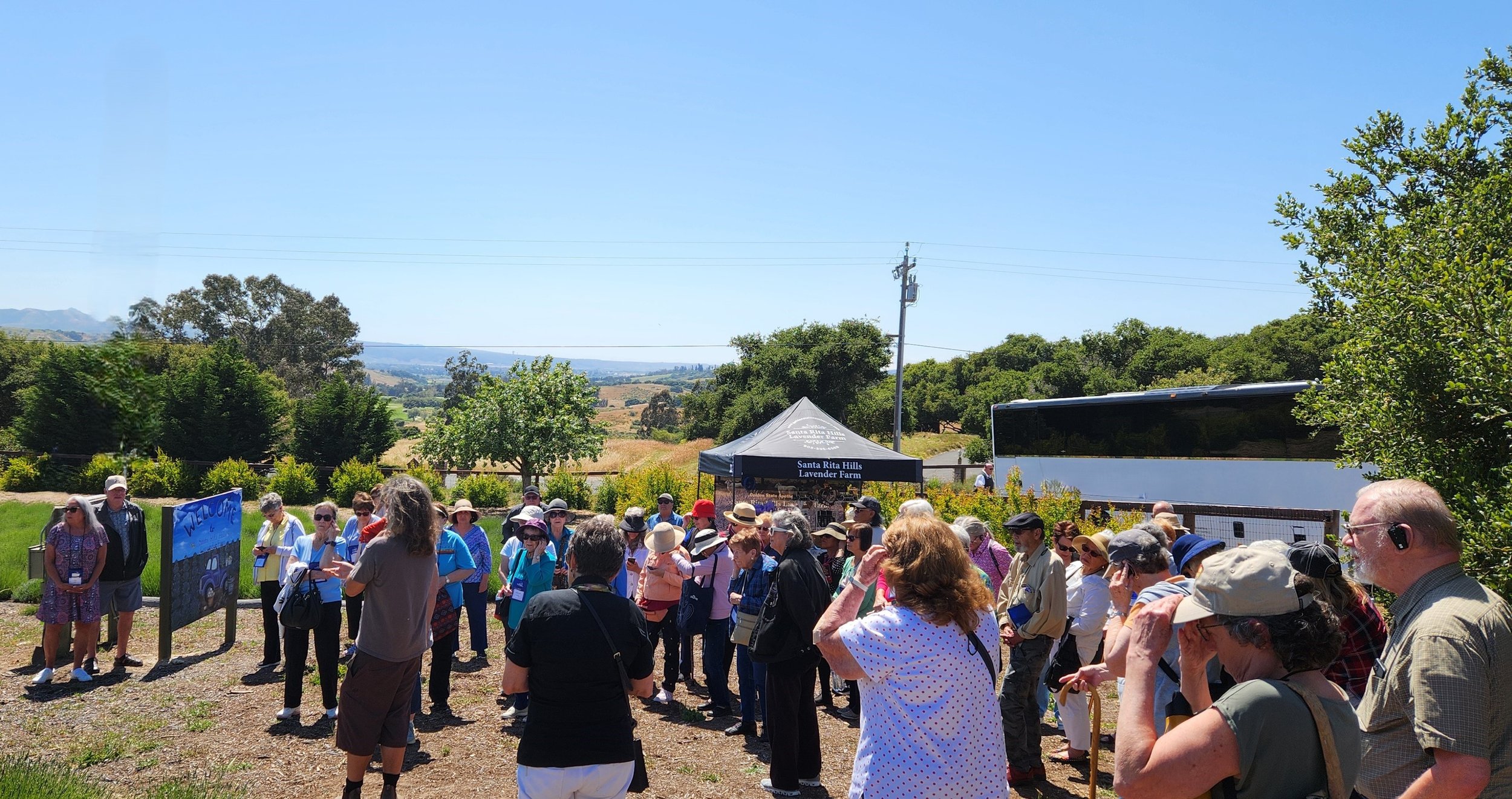 Tour group at Santa Rita Hills Lavender Farm, located minutes away from the Buellton and Solvang area