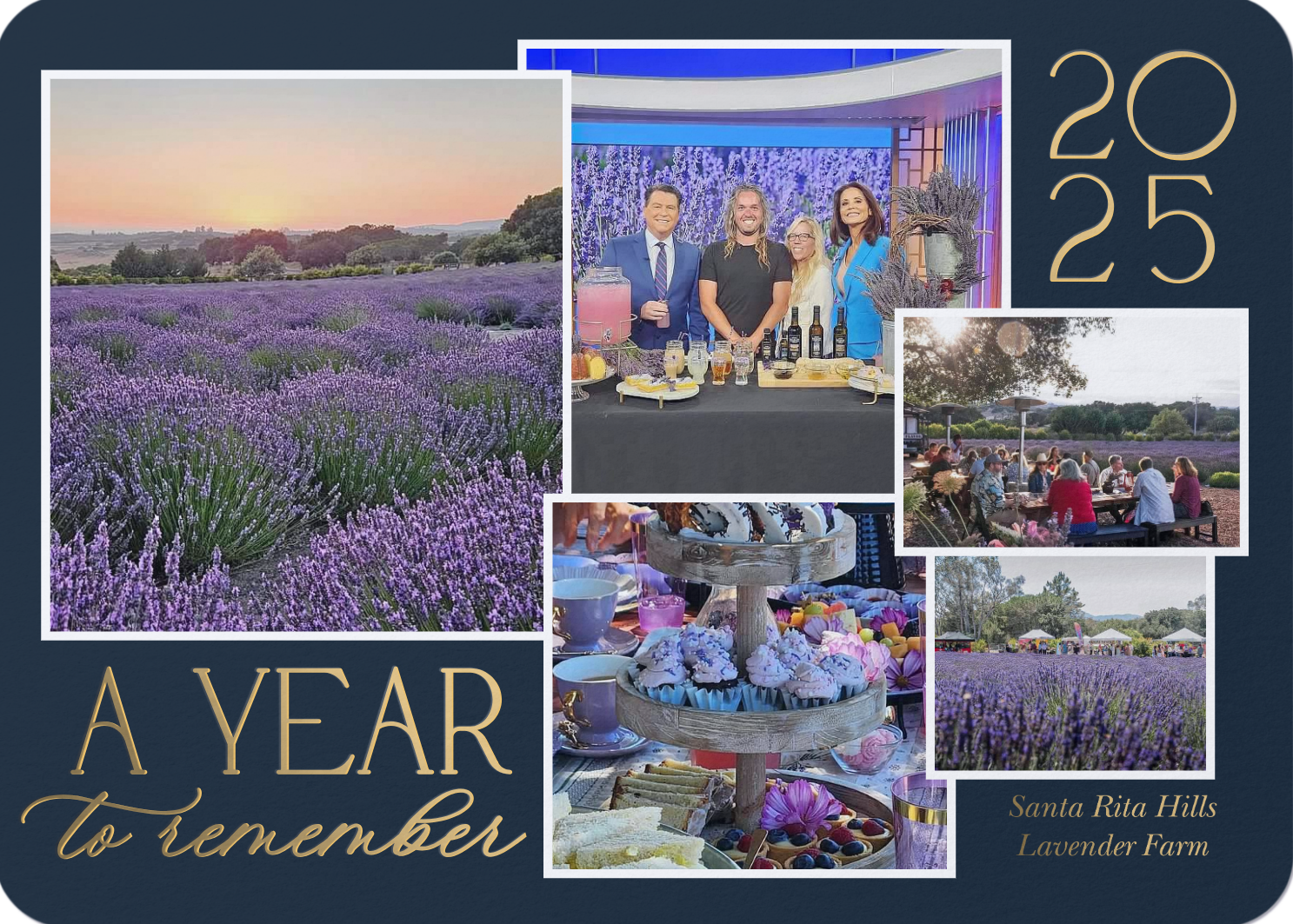A Year in Review with Santa Rita Hills Lavender Farm, located minutes away from the Buellton and Solvang area