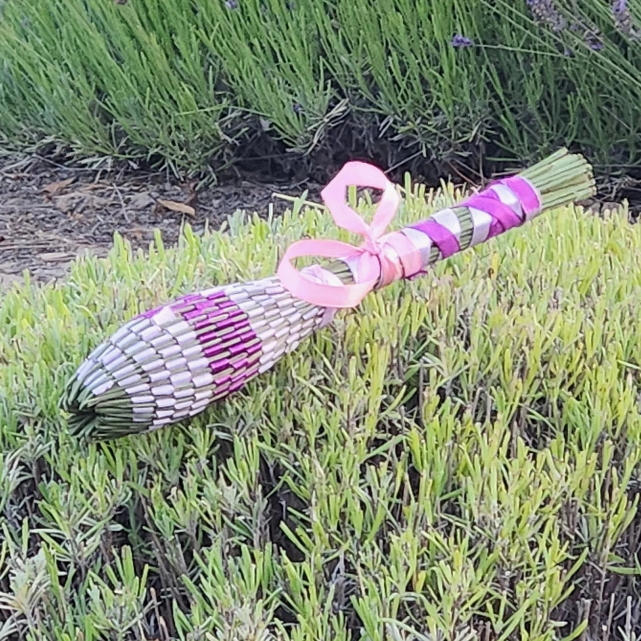 Lavender wands at Santa Rita Hills Lavender Farm minutes away from the Buellton and Solvang area