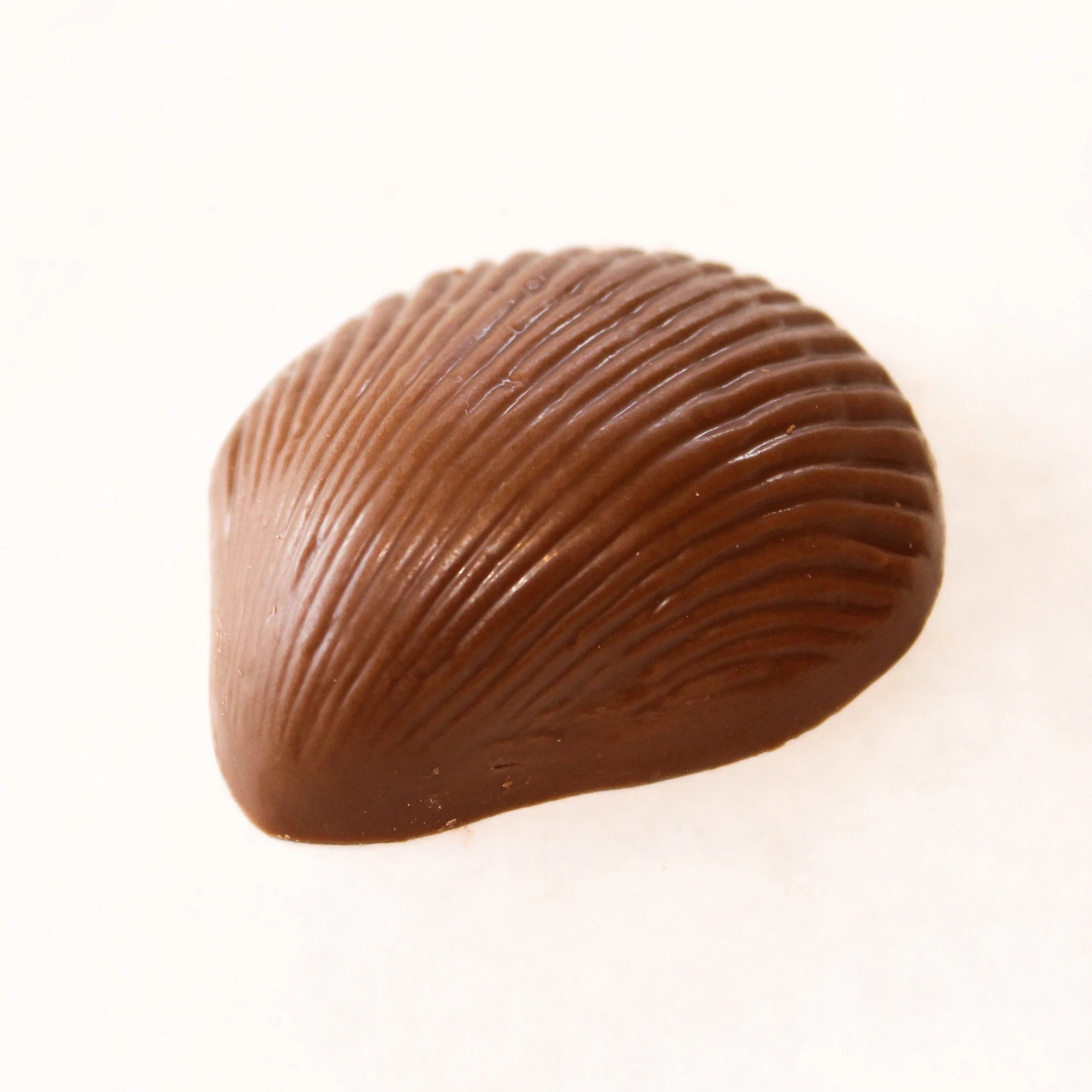 milk-shell.jpg