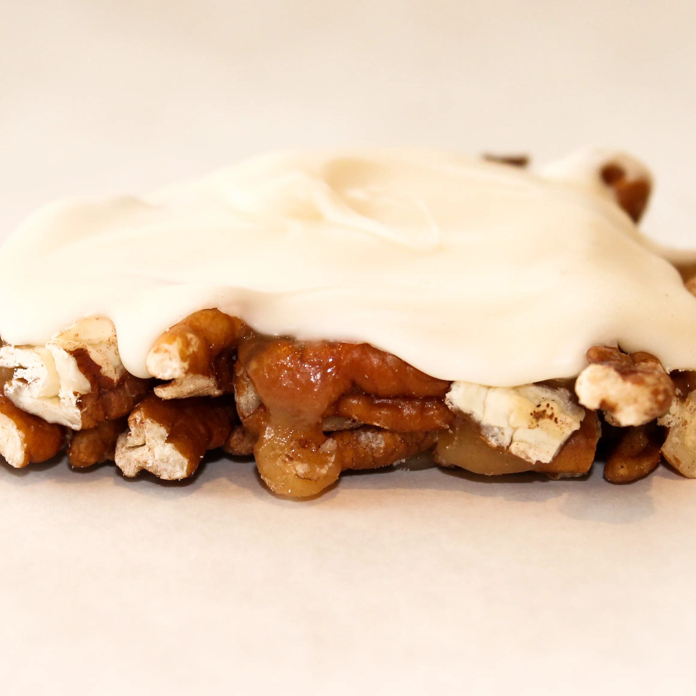 White Pecan Turtle