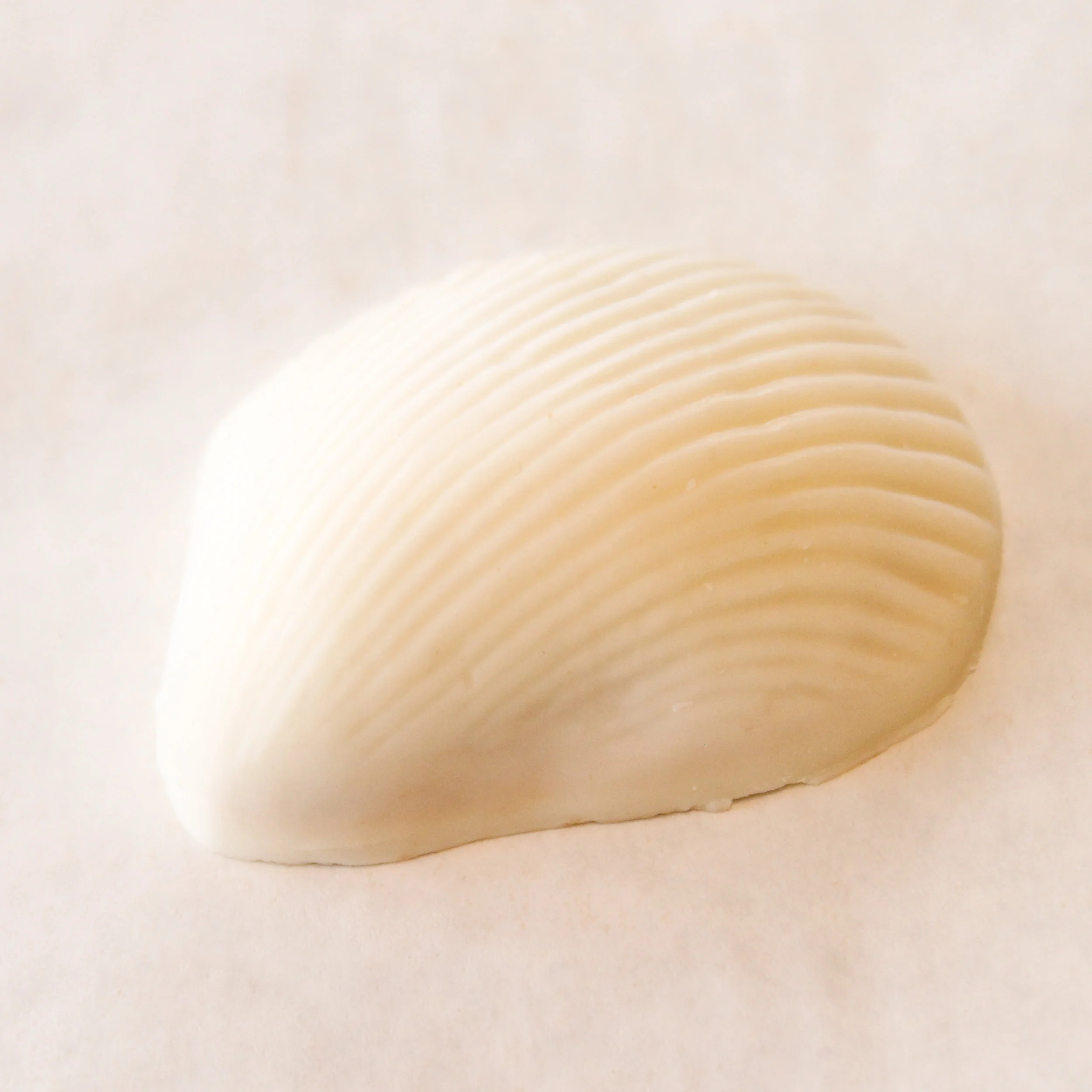 White Peanut Butter Shell