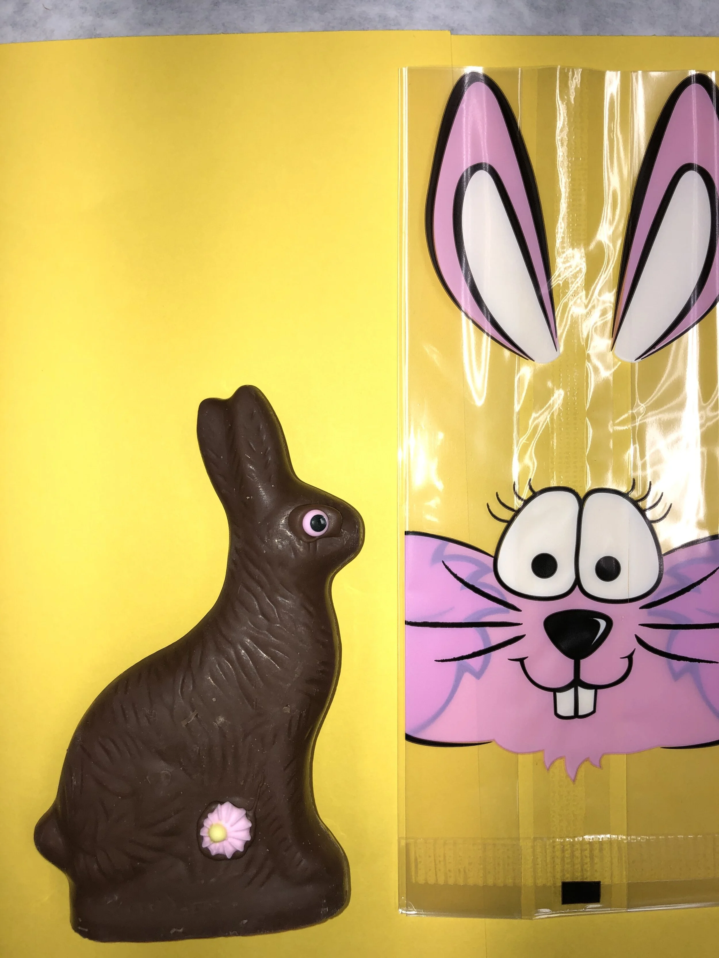 Medium Solid Milk Chocolate Bunny