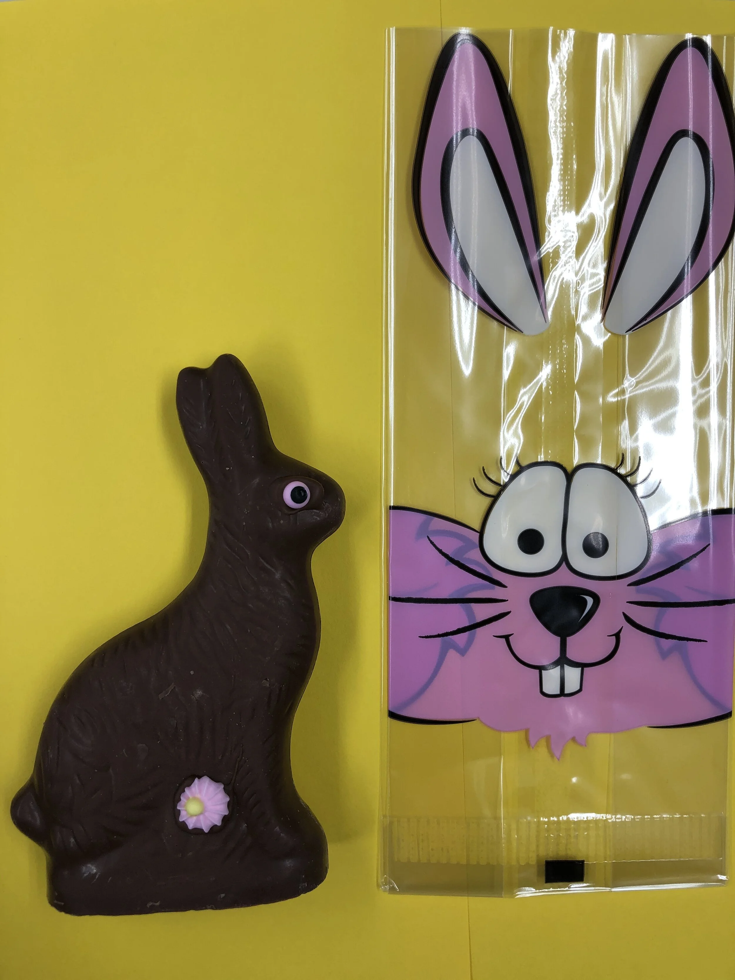 Medium Solid Dark Chocolate Bunny