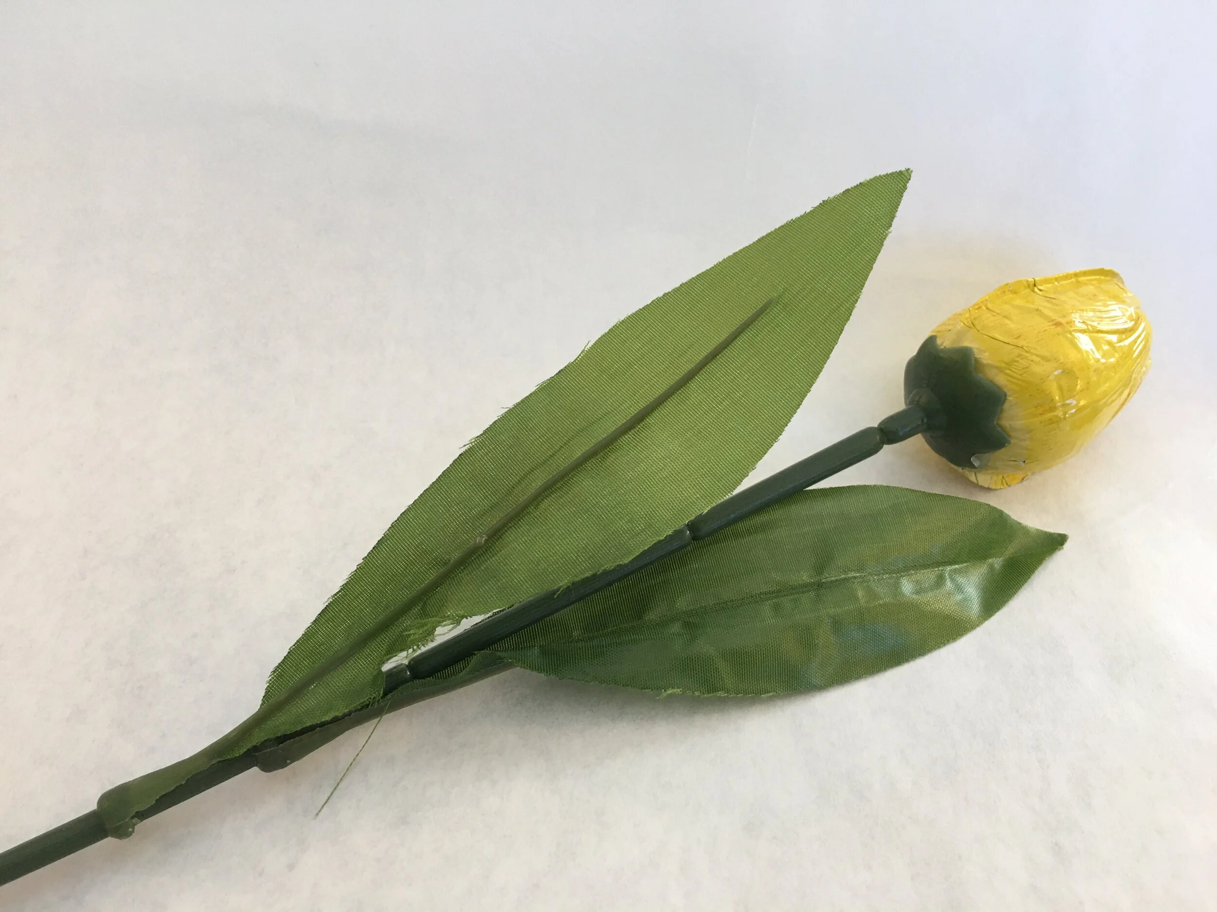 Yellow Milk Chocolate Tulip