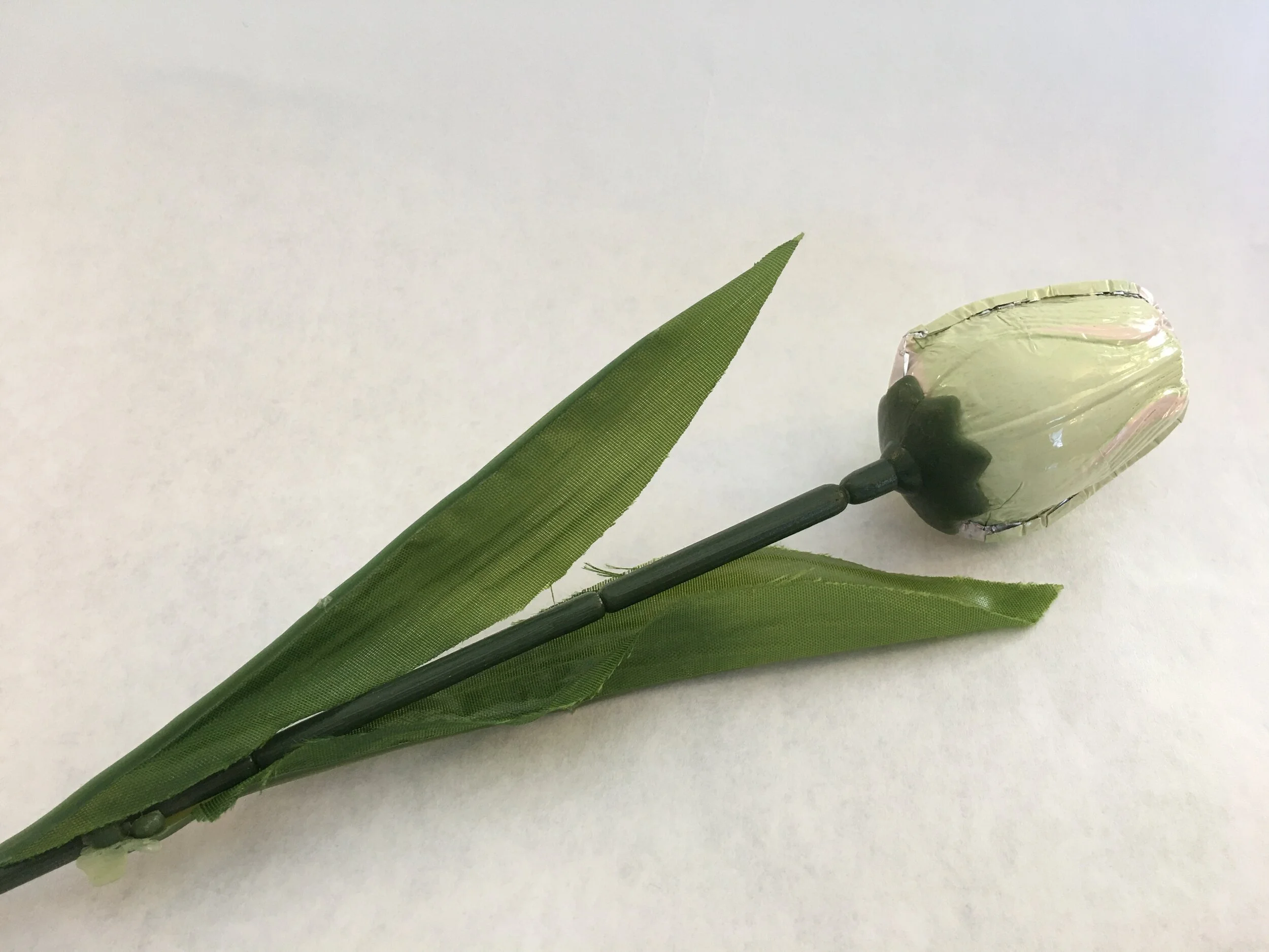 White and Green Milk Chocolate Tulip