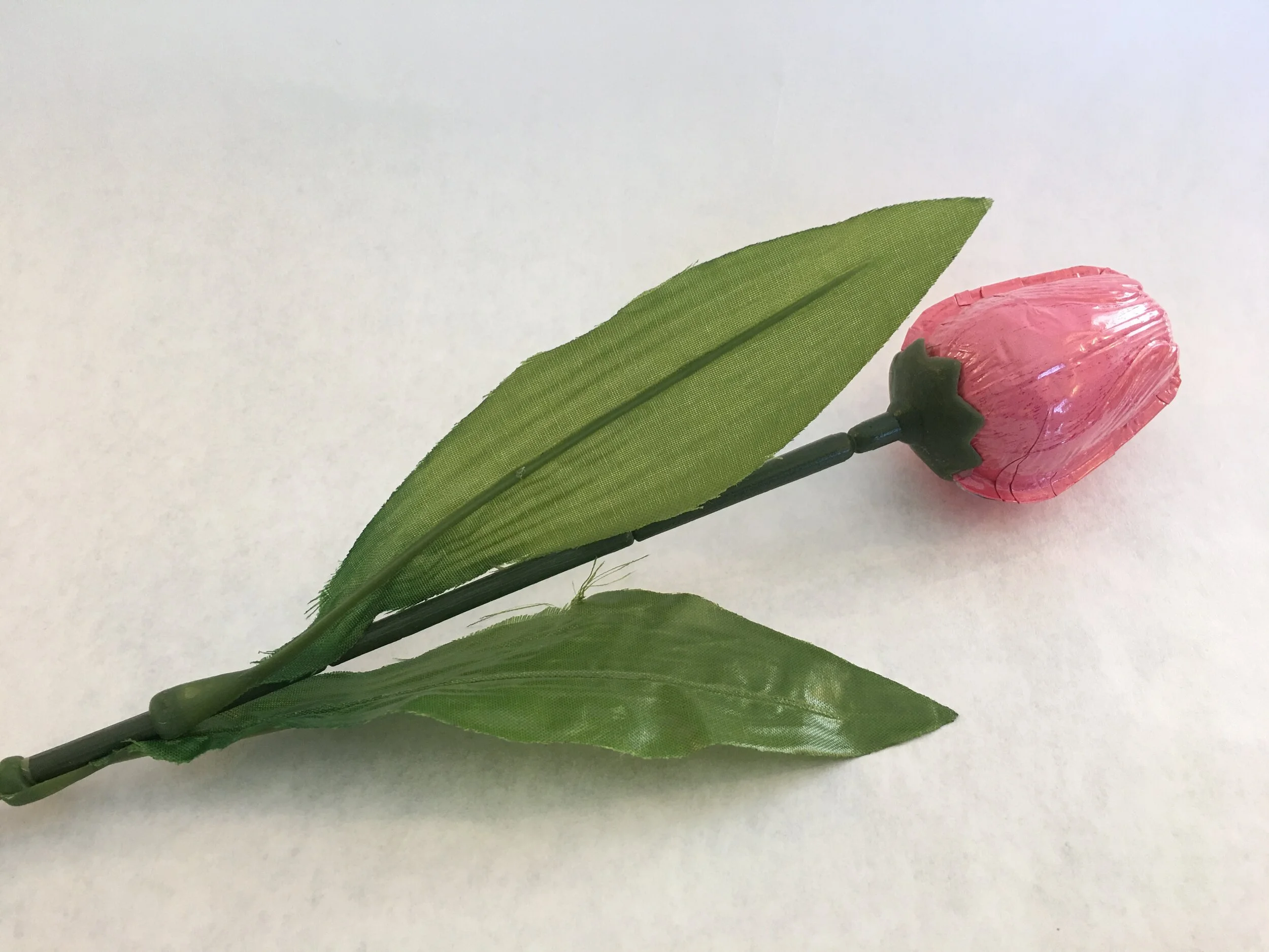 Pink Milk Chocolate Tulip