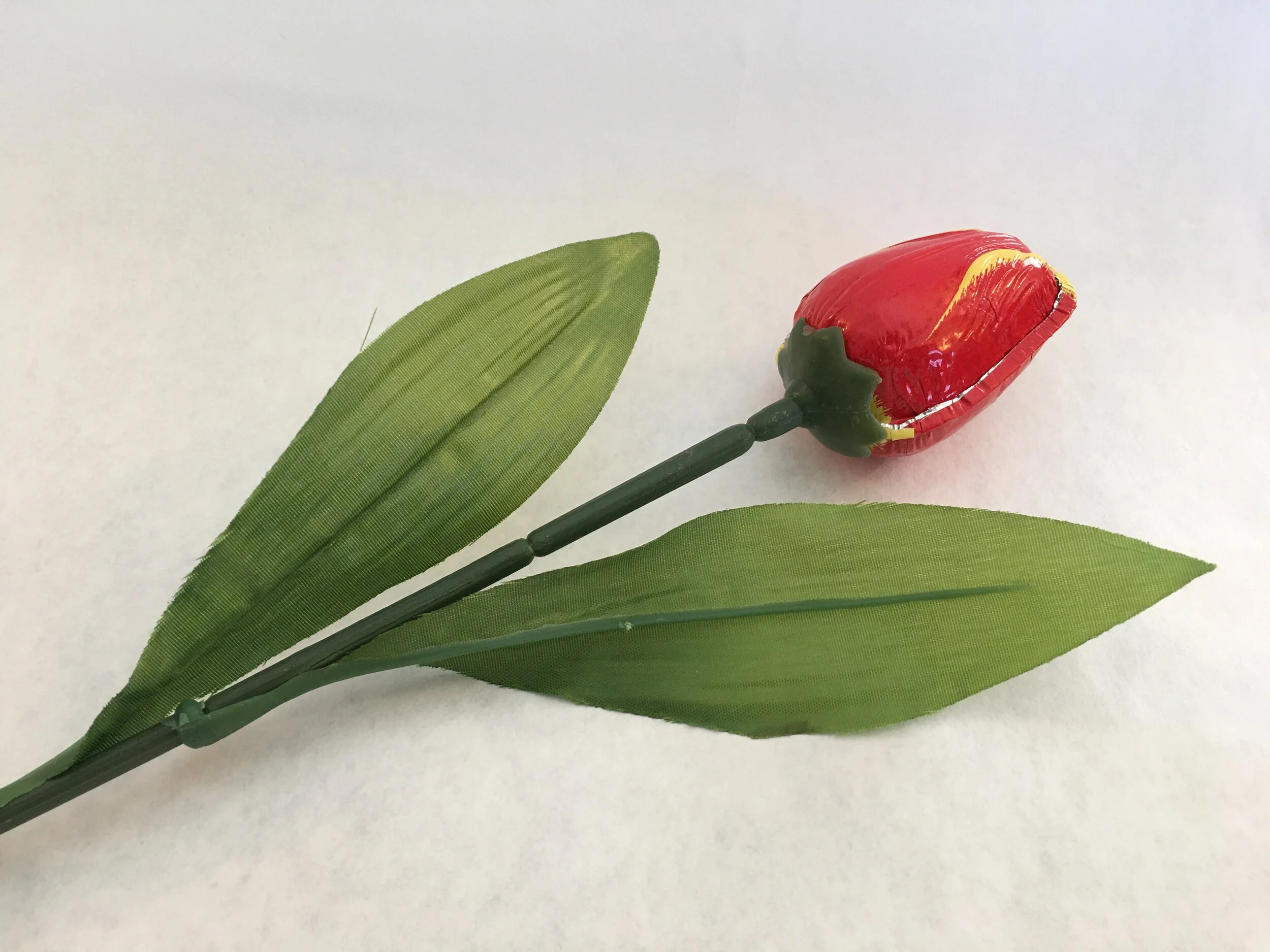 Red and Yellow Milk Chocolate Tulip