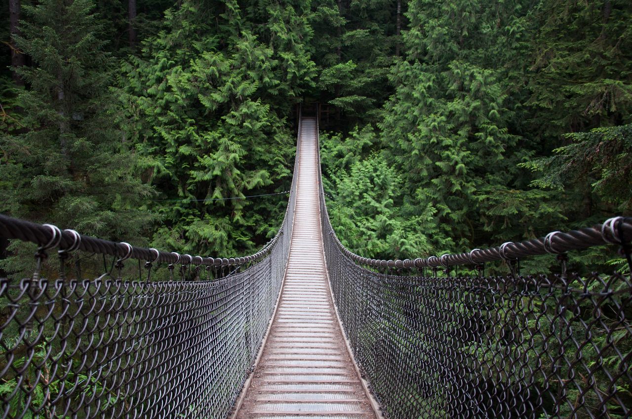 eyeem-77767511 (1).jpg