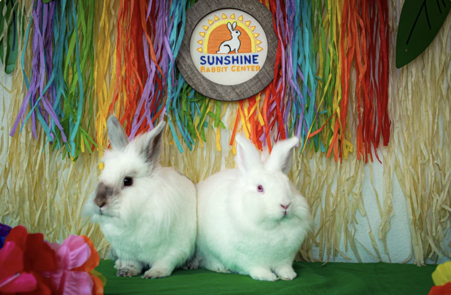 Screenshot 2026-02-28 at 2.23.41 PM.png