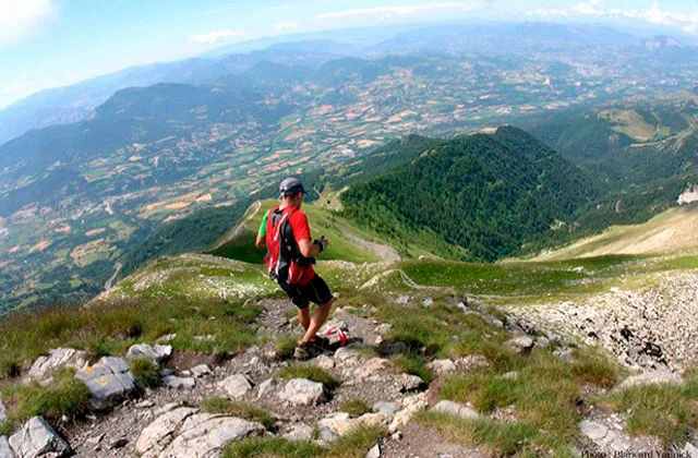 Trailrunning.jpg