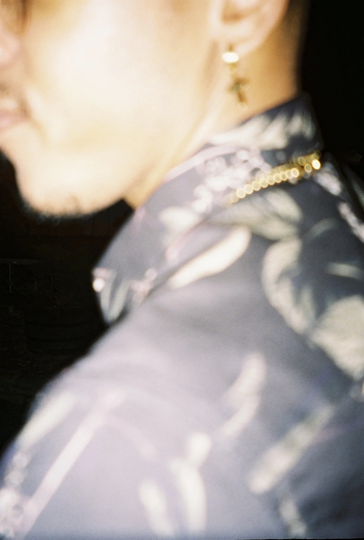 roll1_1284fang-r1-23-13a.jpg