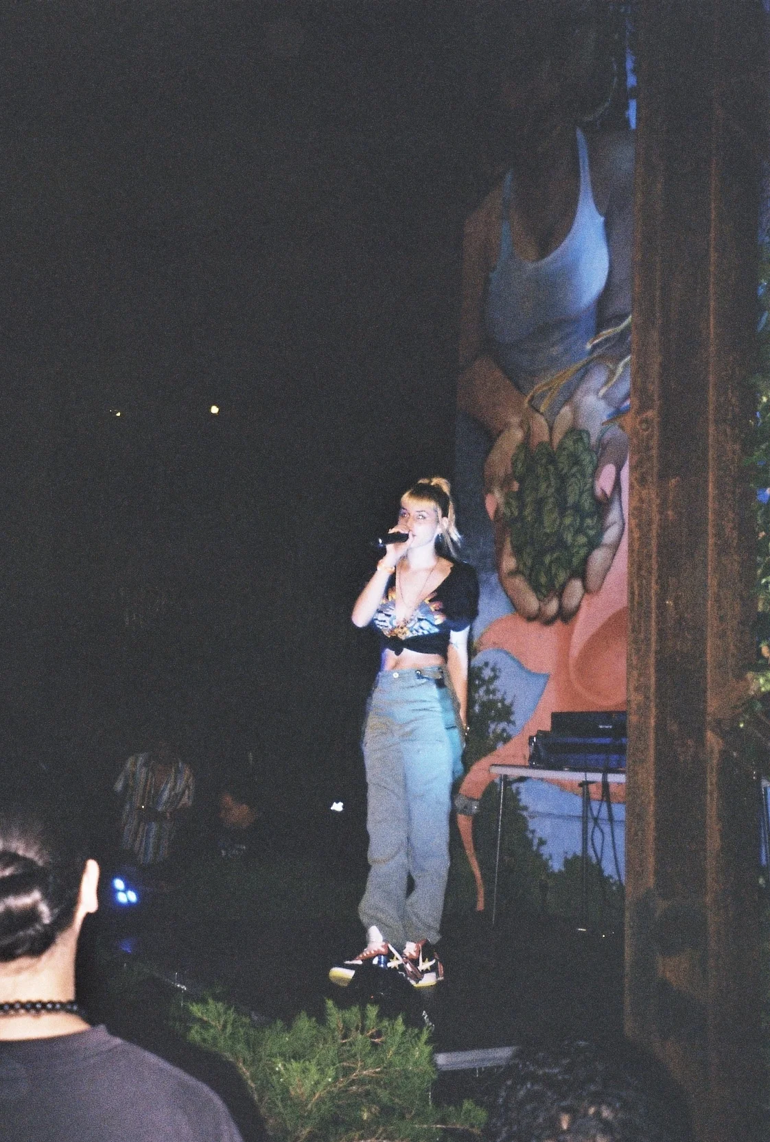 roll1_1284fang-r1-33-3a.jpg