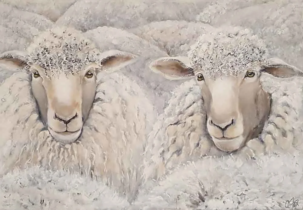 Sheep