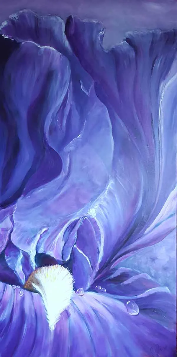 Purple Iris
