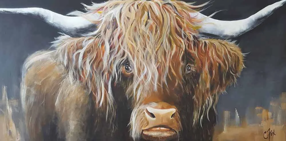 Highland Cow