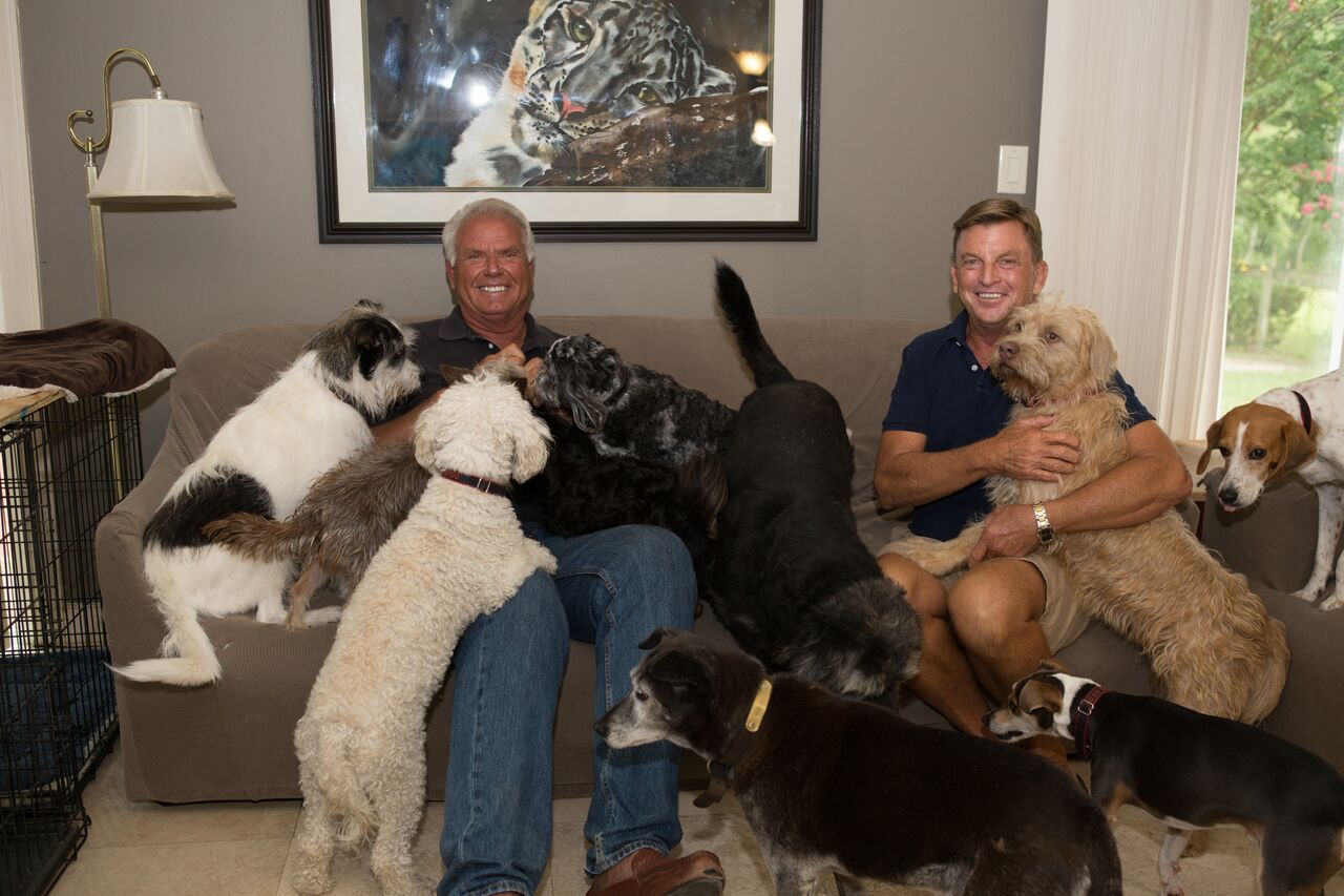 Life in the Doghouse