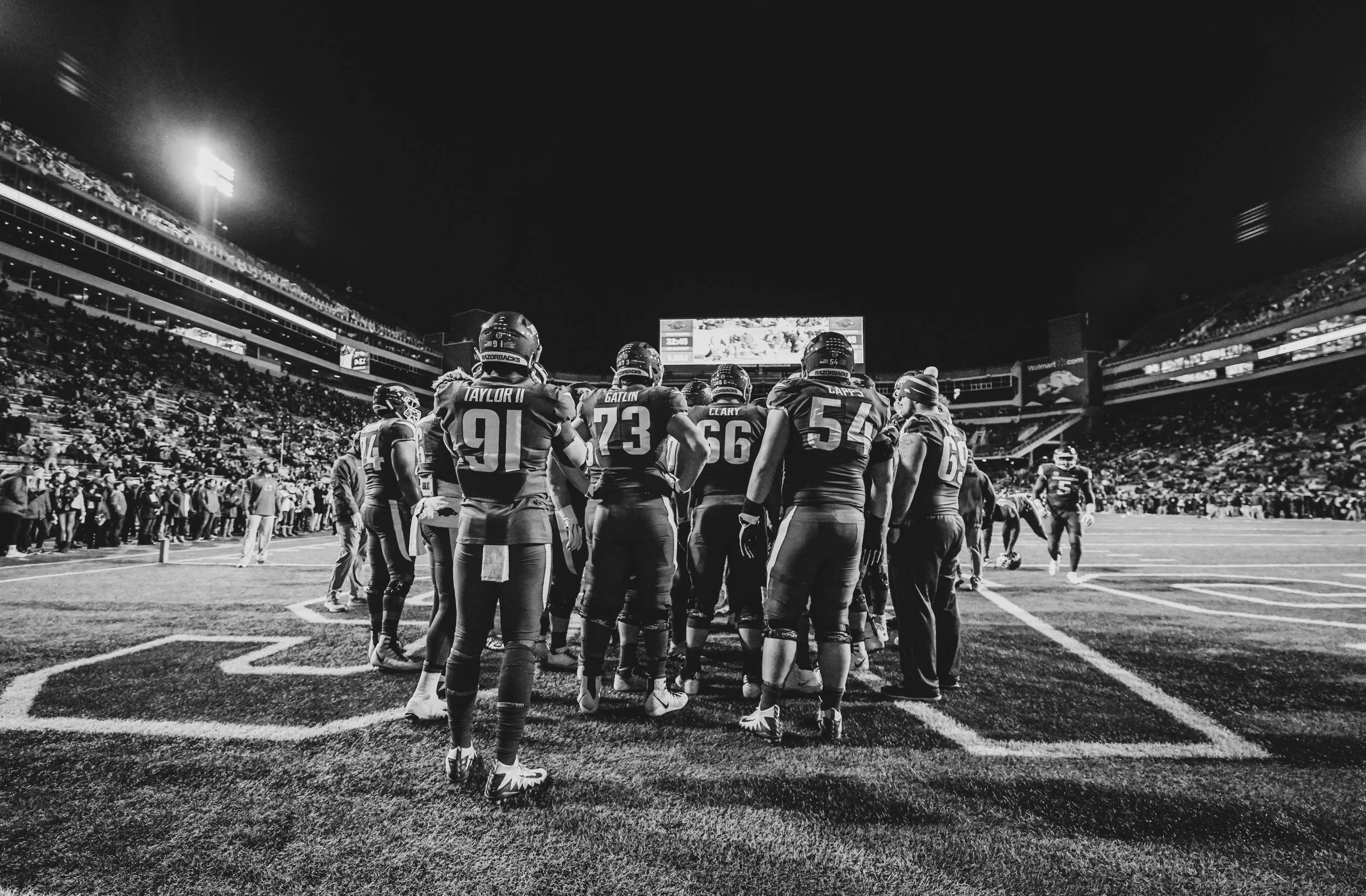 Razorback-6.JPG