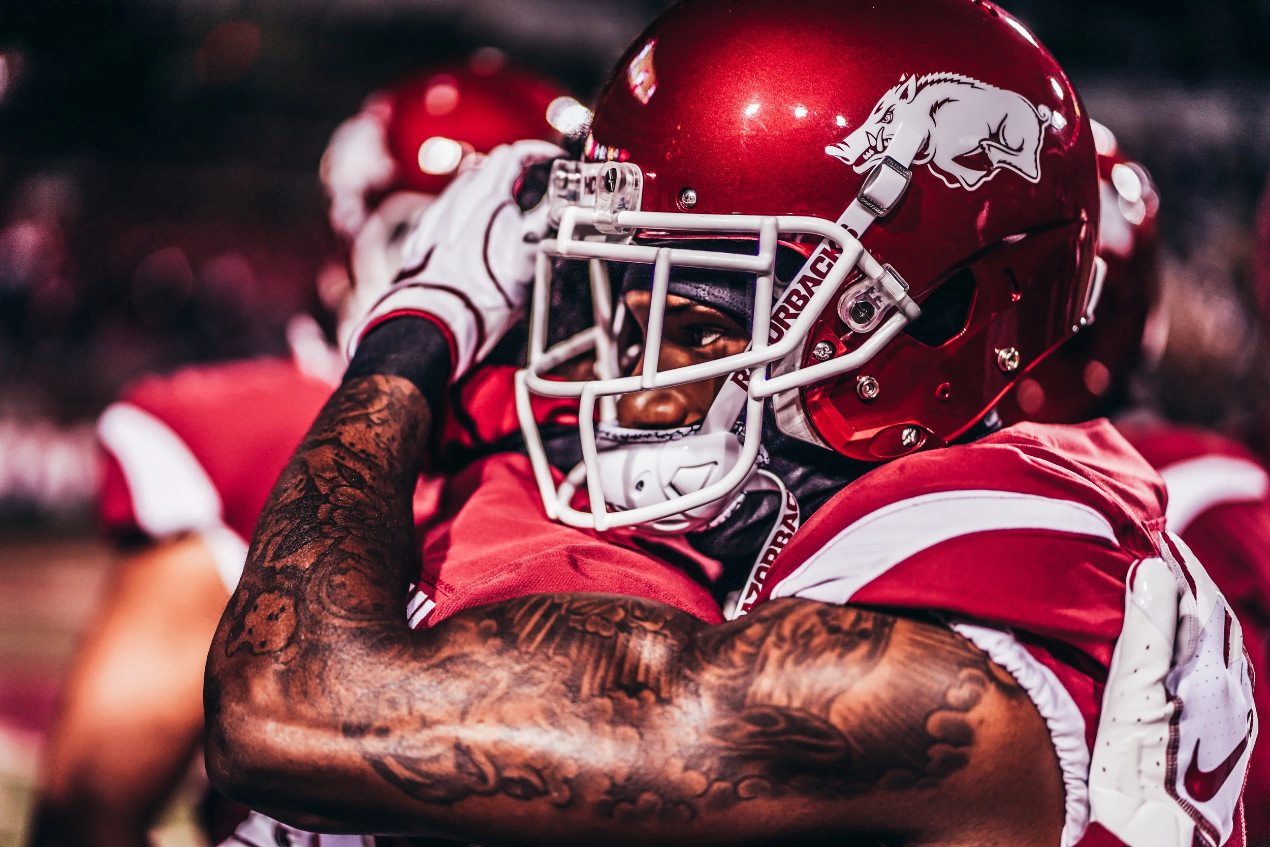 Razorback-9.JPG
