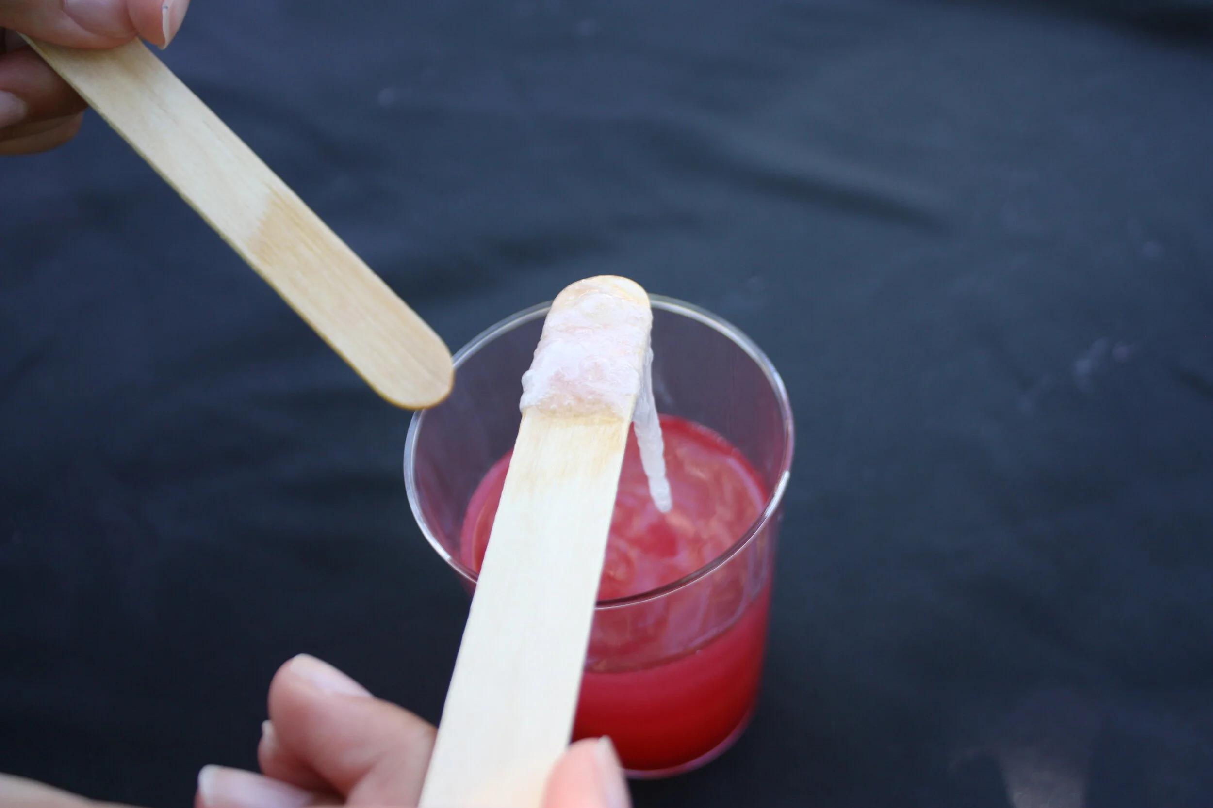 Strawberry DNA Extraction