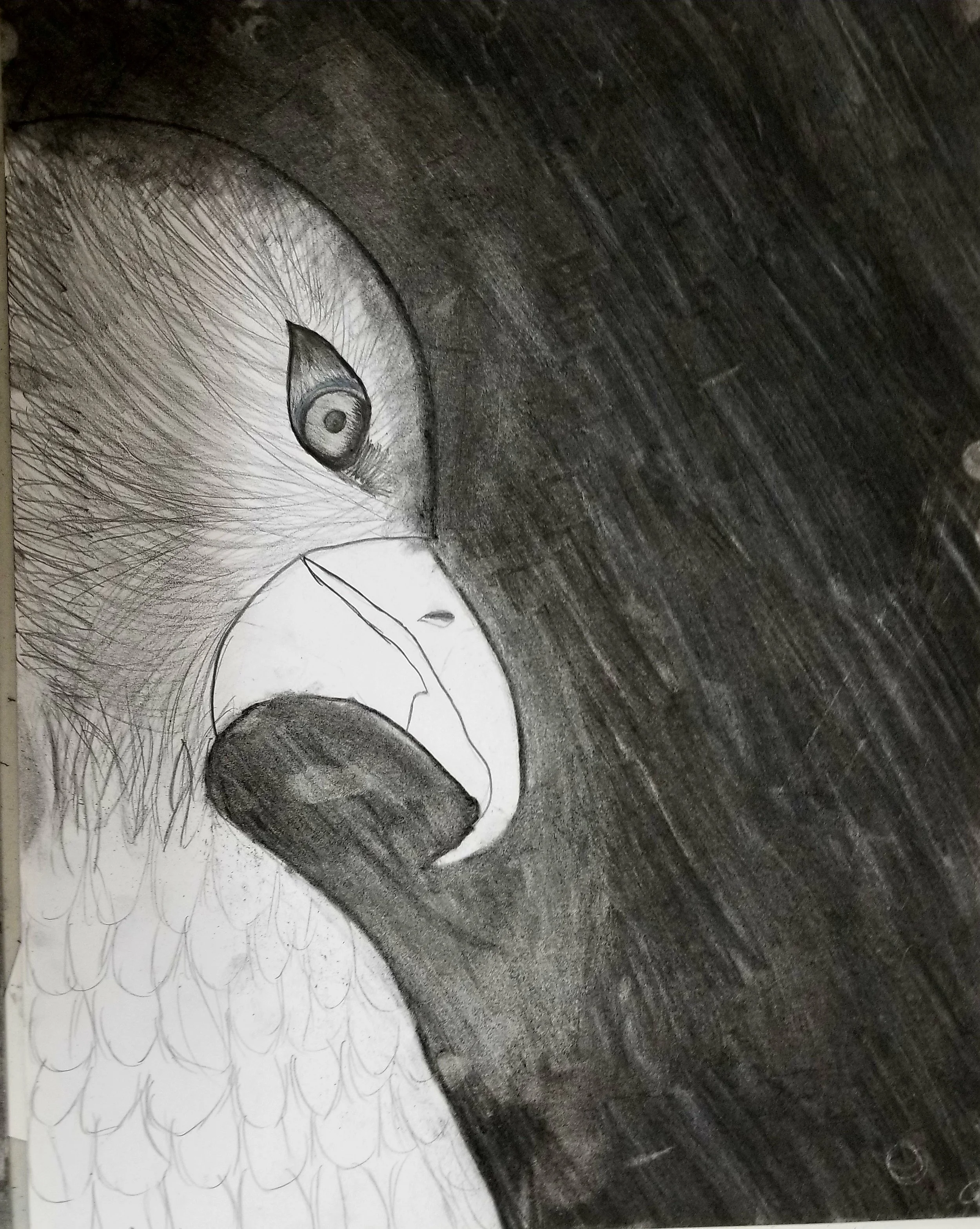 Drawing by Miss Marie’s 7 year old student!