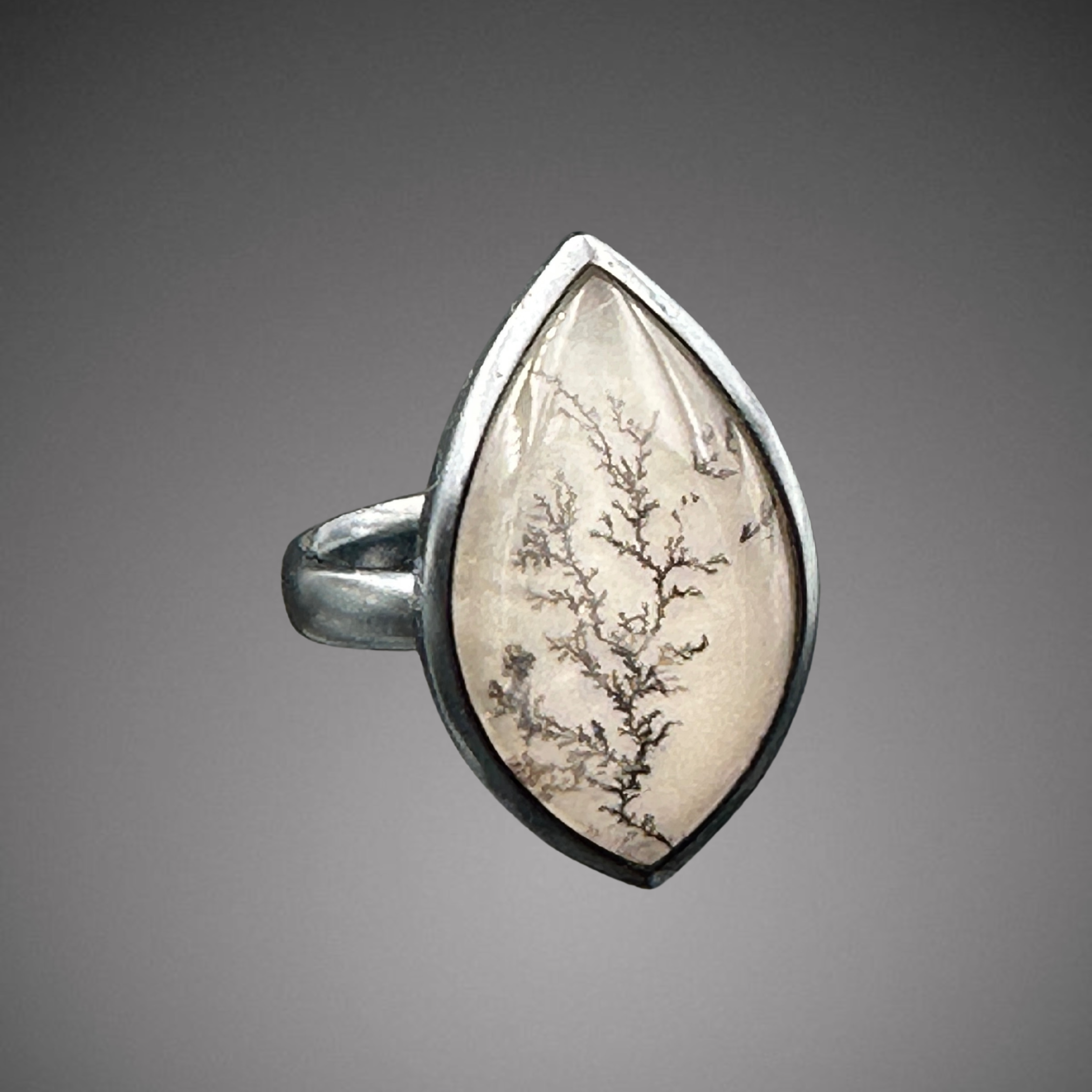 Moaval dendrite oxidized.png
