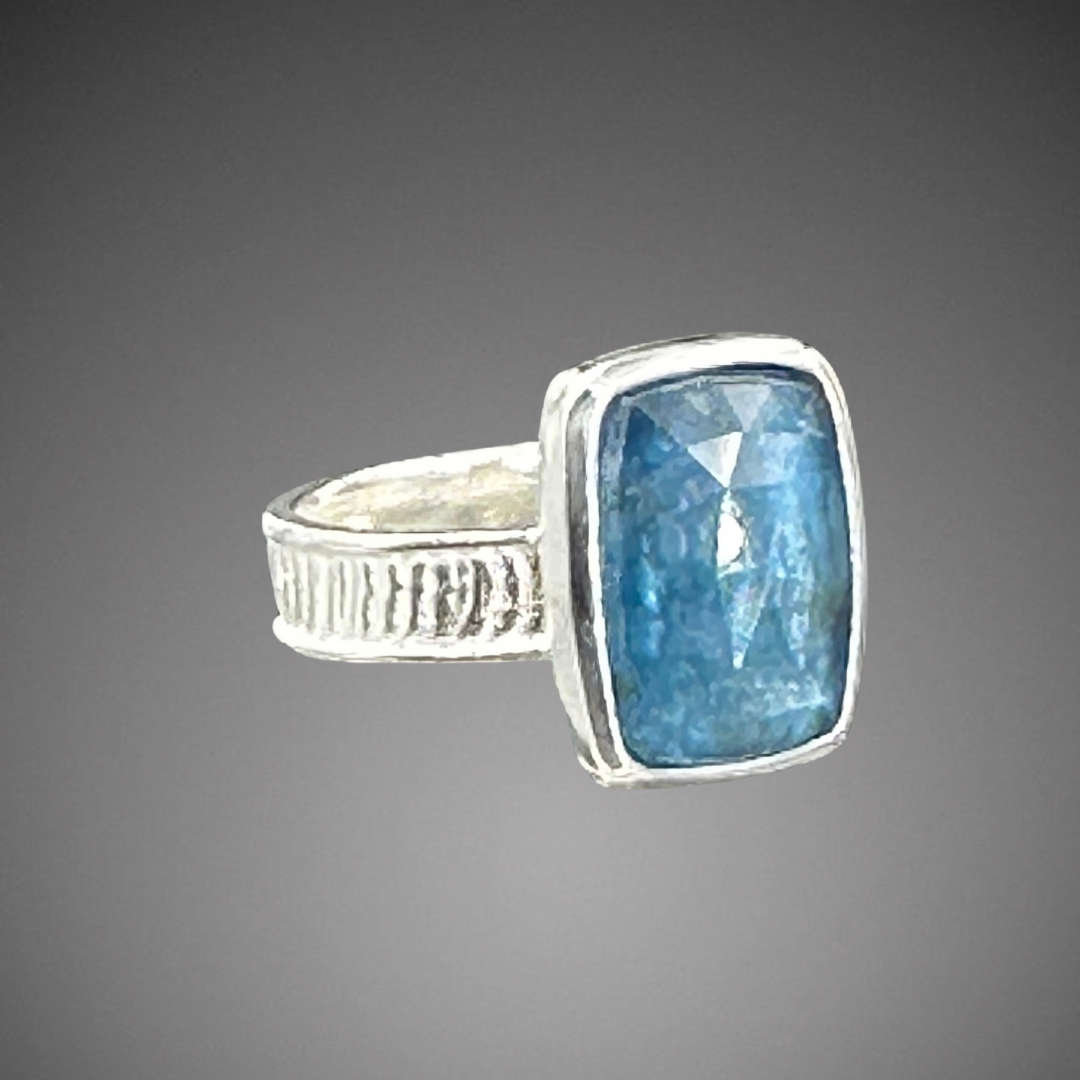 Kyanite on cuttlefish band