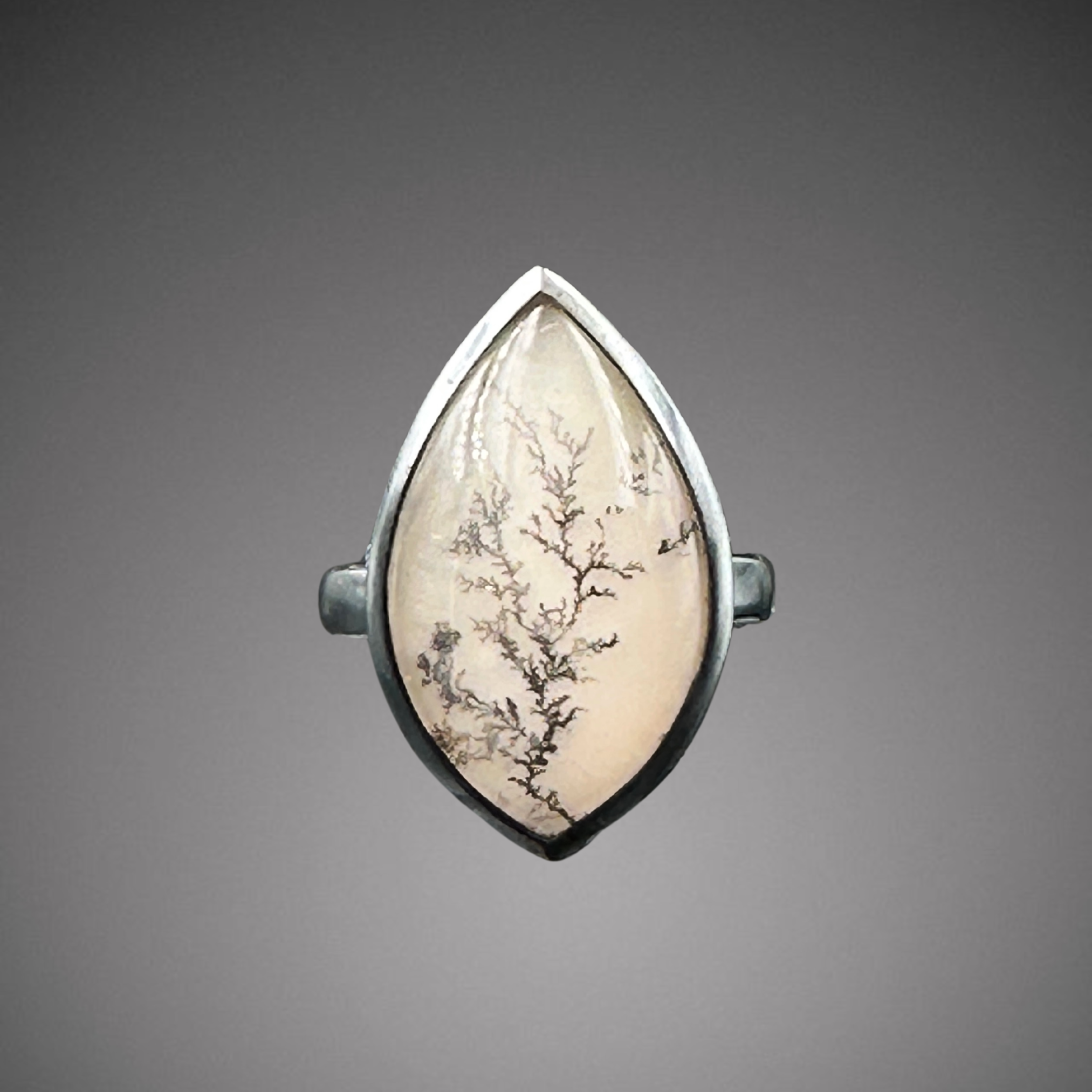 Moaval dendrite oxidized (1).png