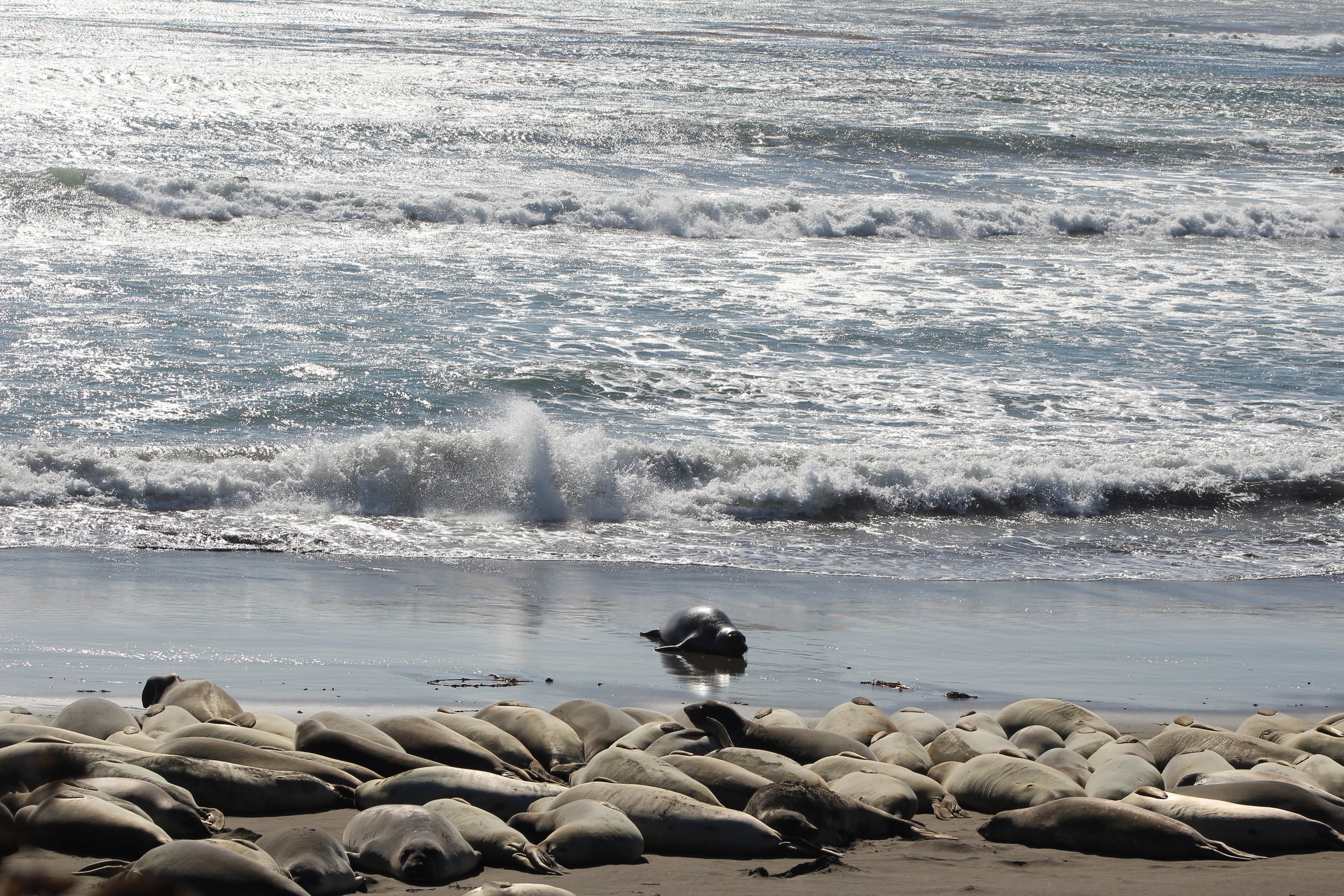 A Number of Positive Experiences in and around the City of Los Angeles, California 