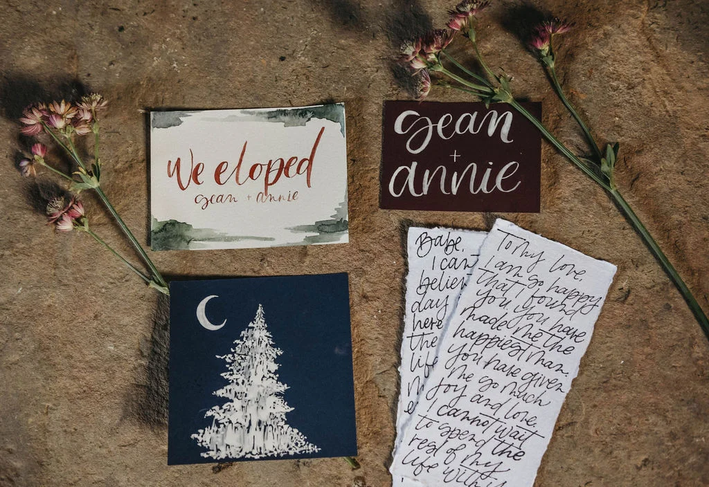 elopement wedding planner, loudoun county