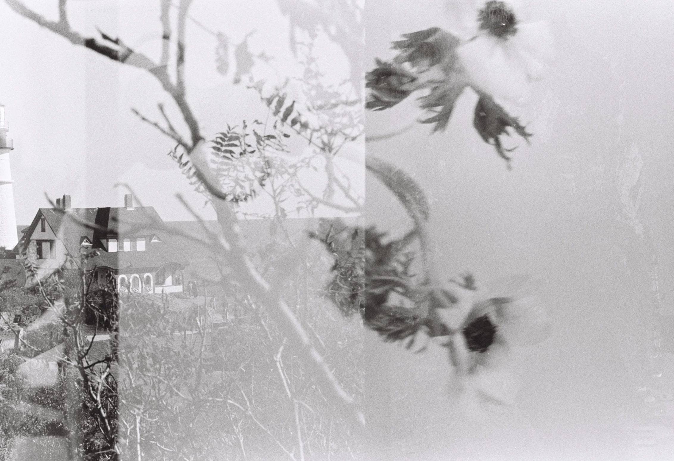 bs5823000182-R1-E010.png
