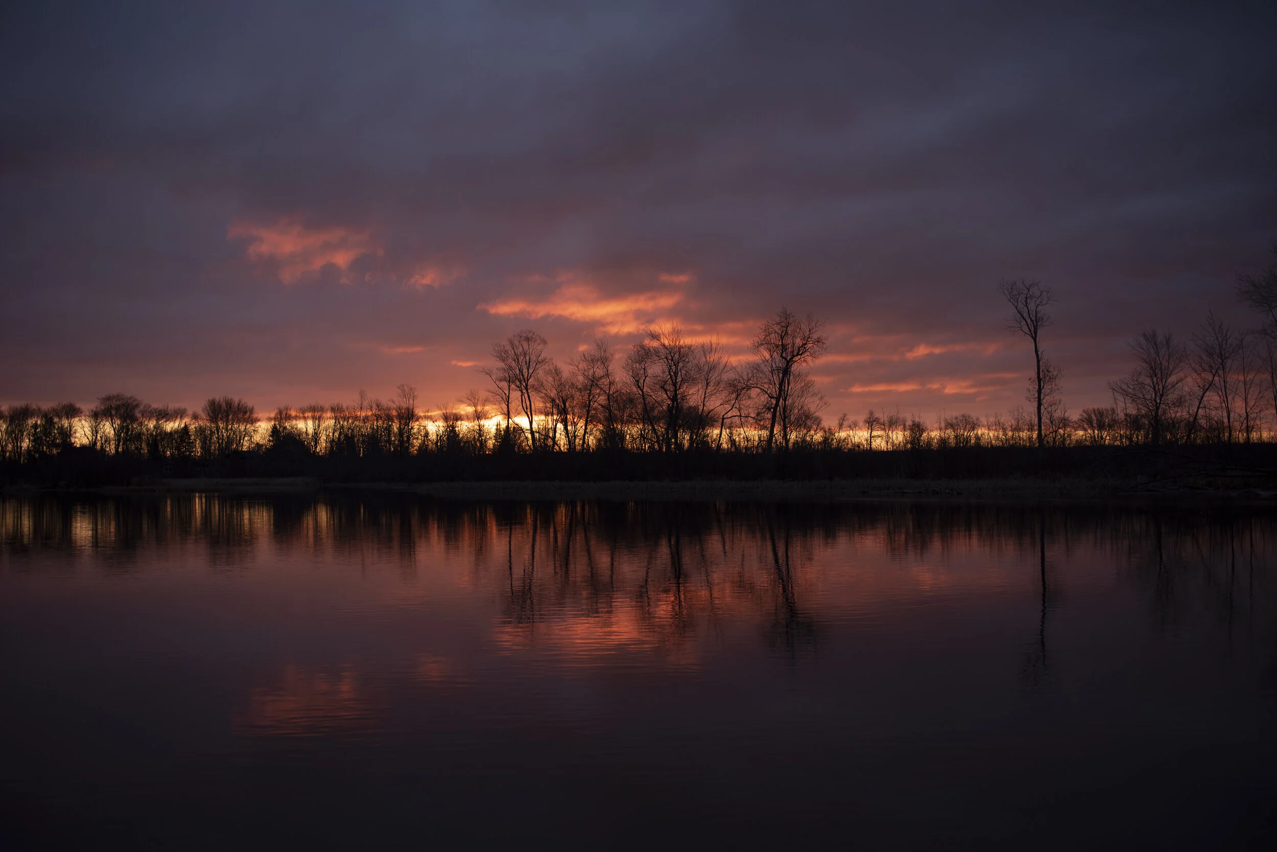 kawartha-4.jpg