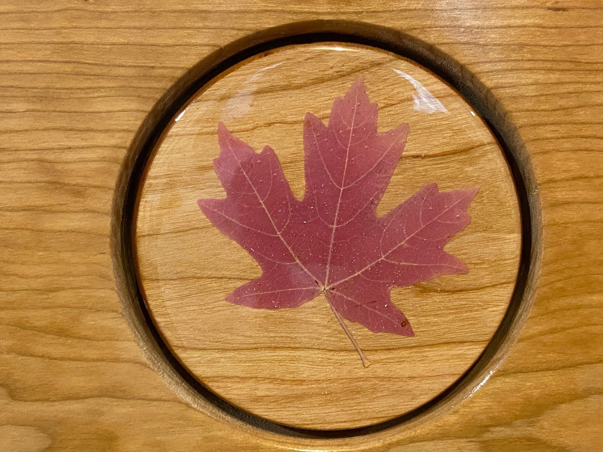 Leaf CU.JPG