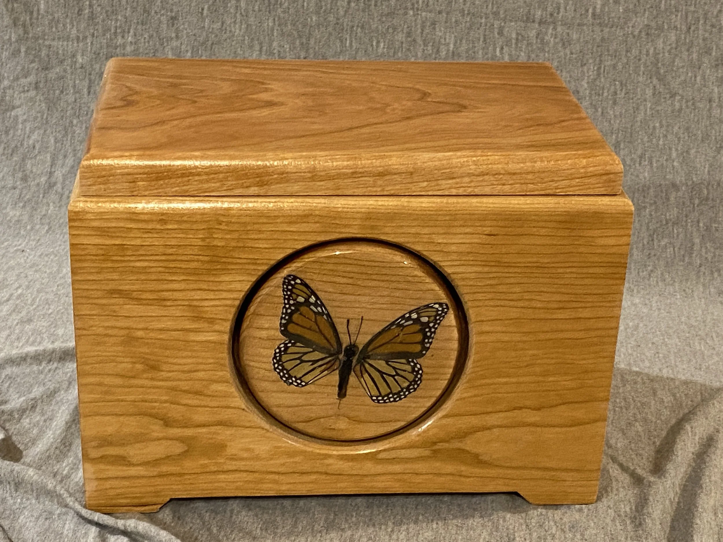 Butterfly Front.JPG