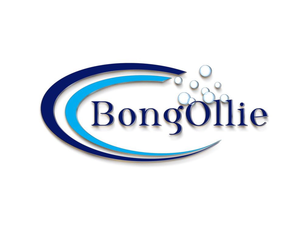 BongOllie Cleaning Services