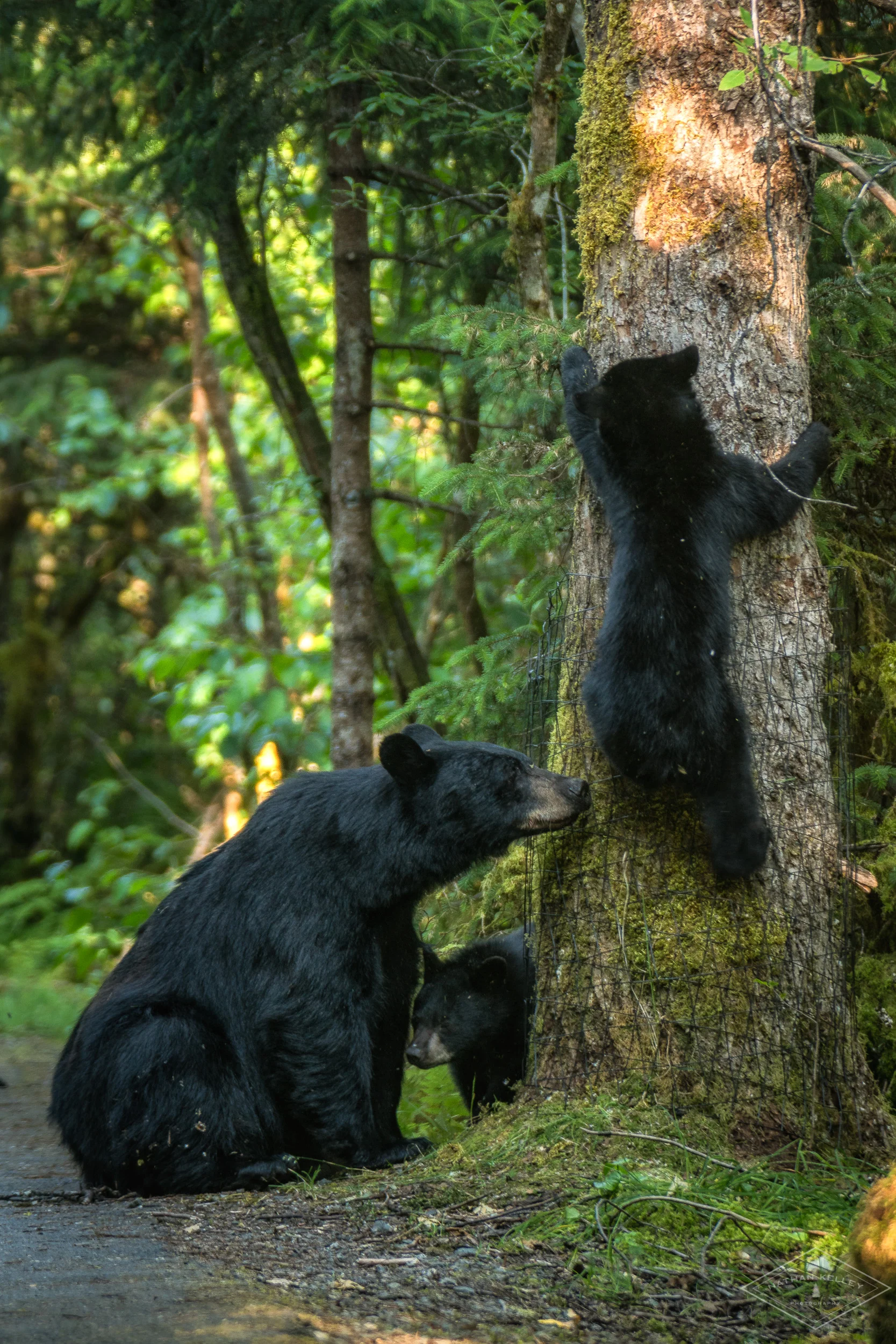 DSC00321-Edit.jpg