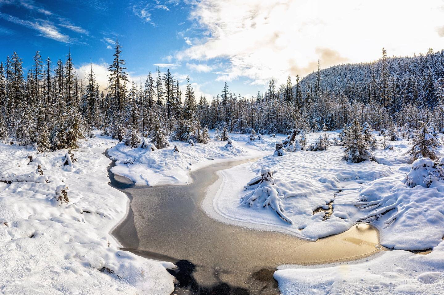 It is coooooold outside. Some of the coldest temps in over a decade. Wind chill around -18. People think Alaska, they think cold.  But in southeast Alaska, which is wrapped by a temperate rainforest, it rarely gets as cold as people think.  Brrrr