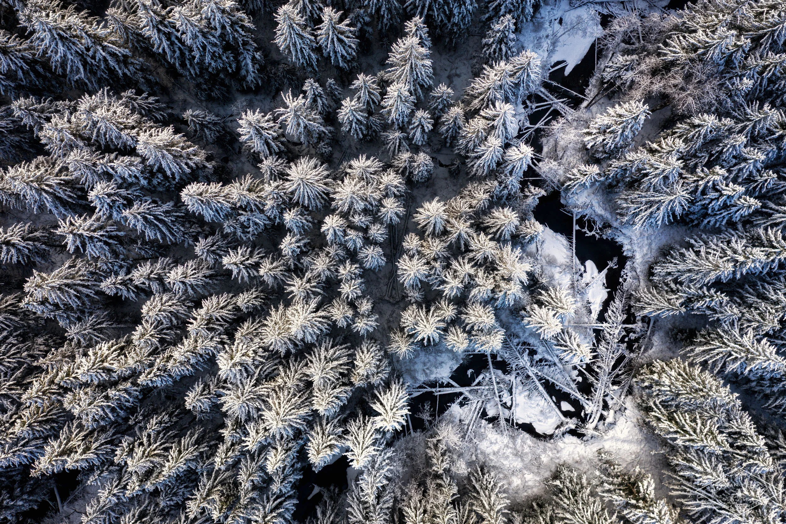 DJI_0649-HDR-Edit-Edit.jpg
